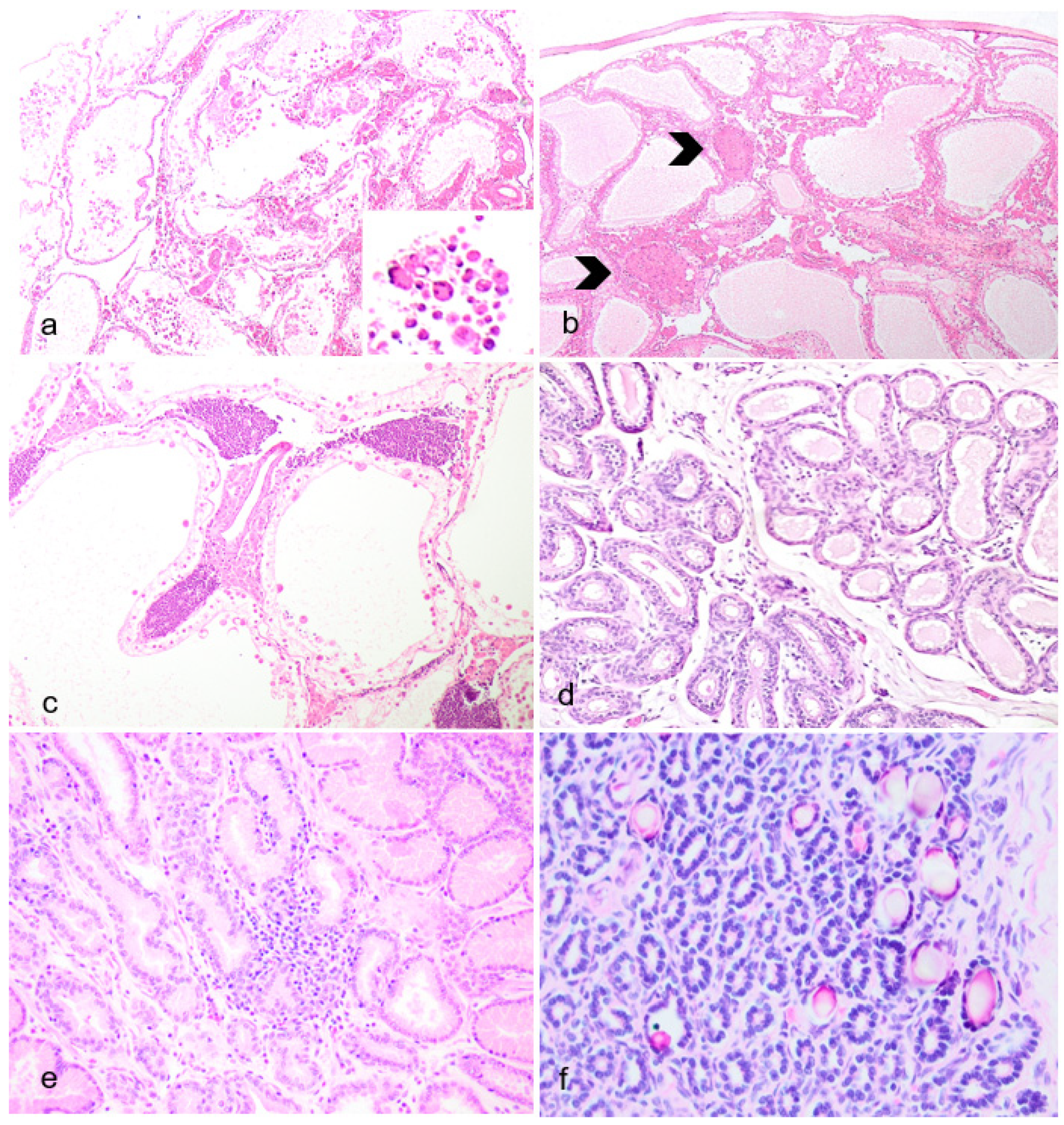 Preprints 95281 g004