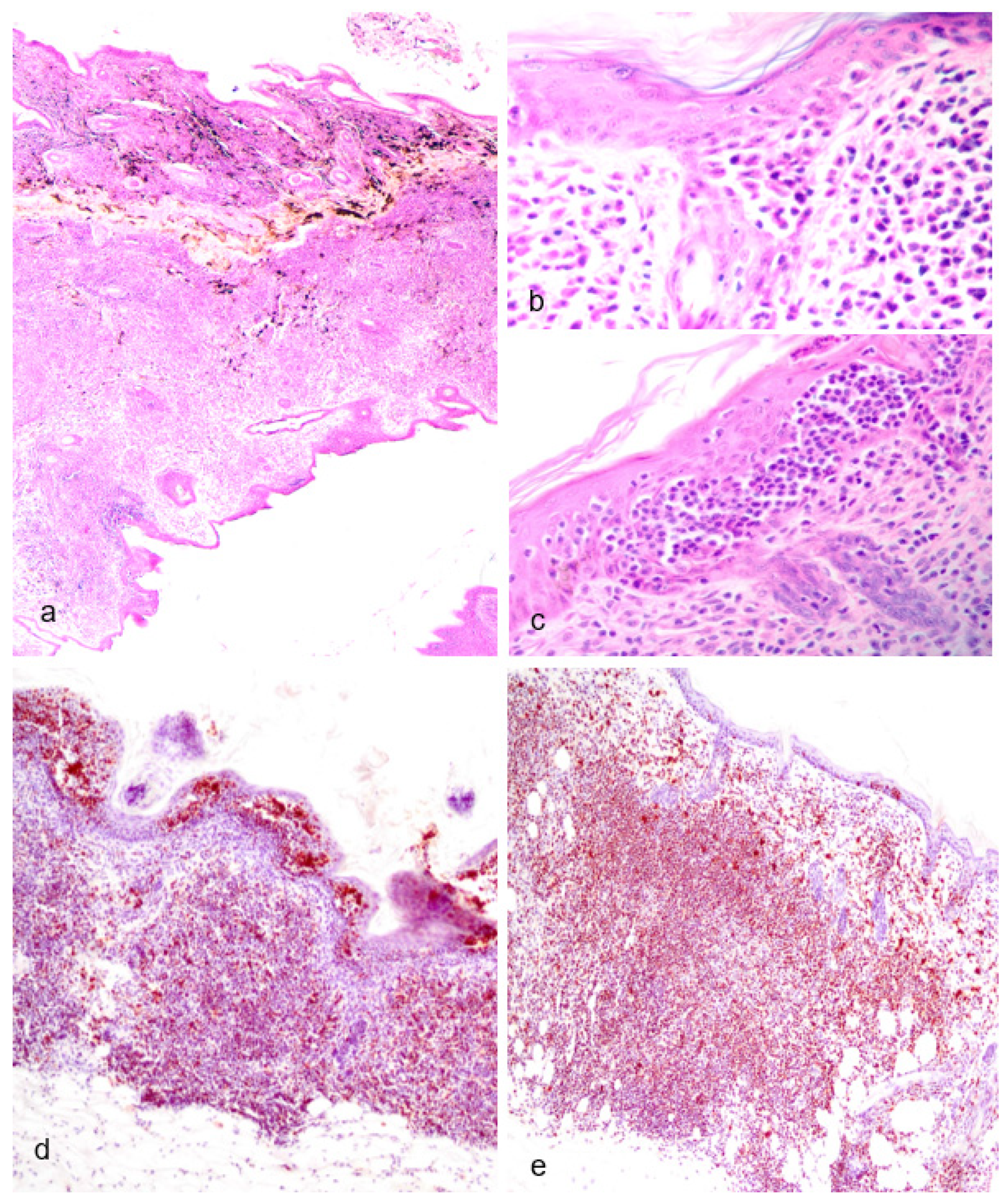 Preprints 95281 g005