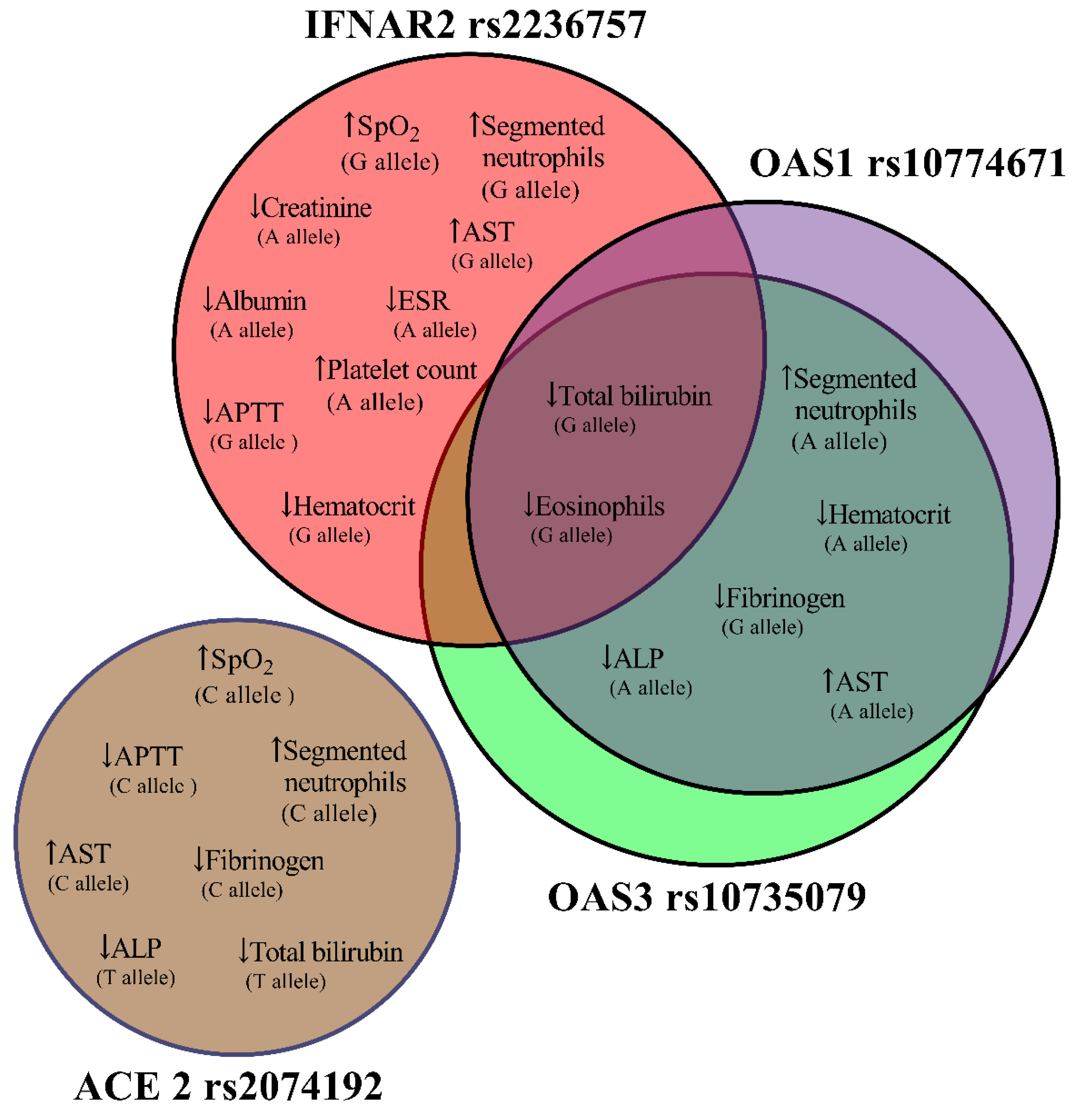 Preprints 117026 g003