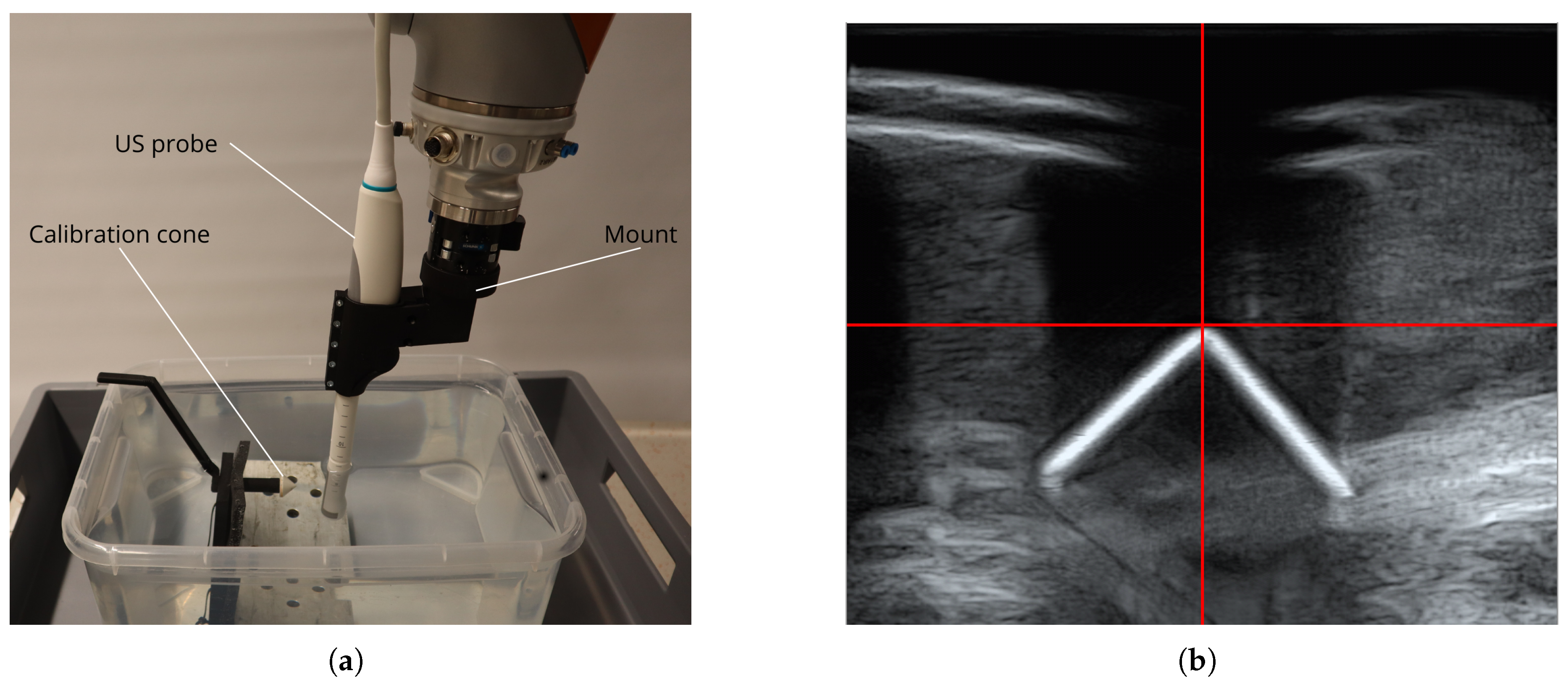 Preprints 156054 g002