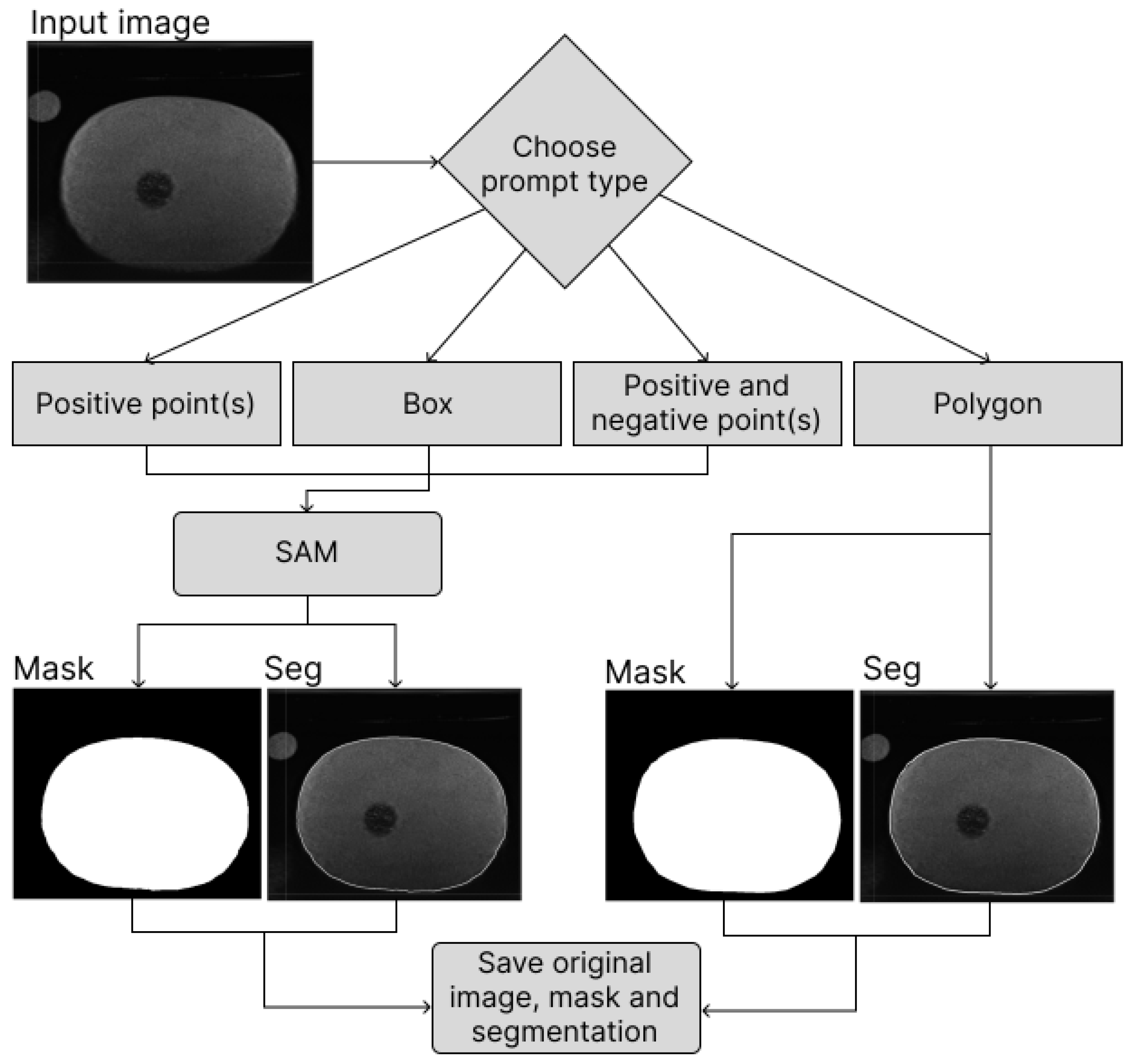Preprints 156054 g005