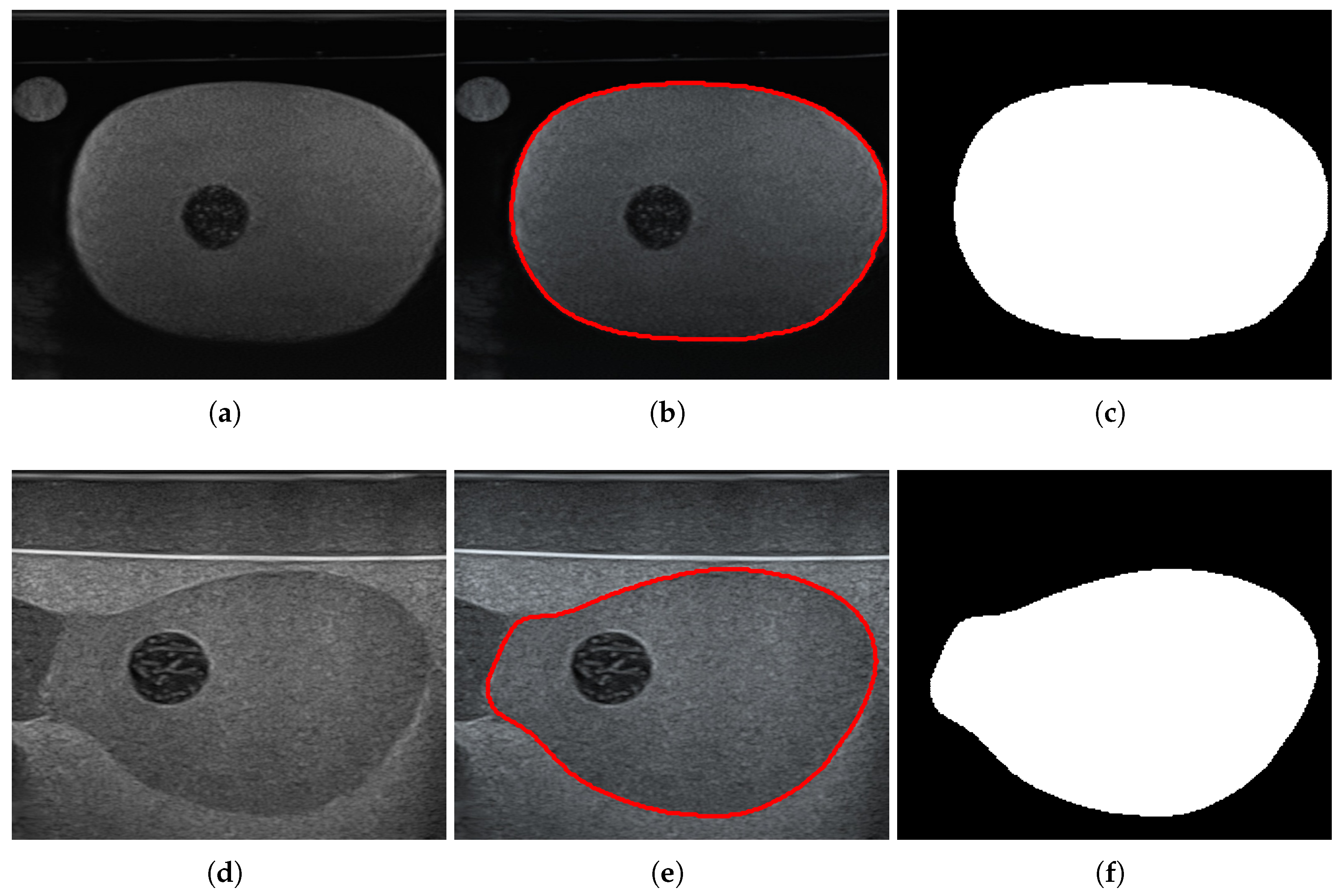 Preprints 156054 g006