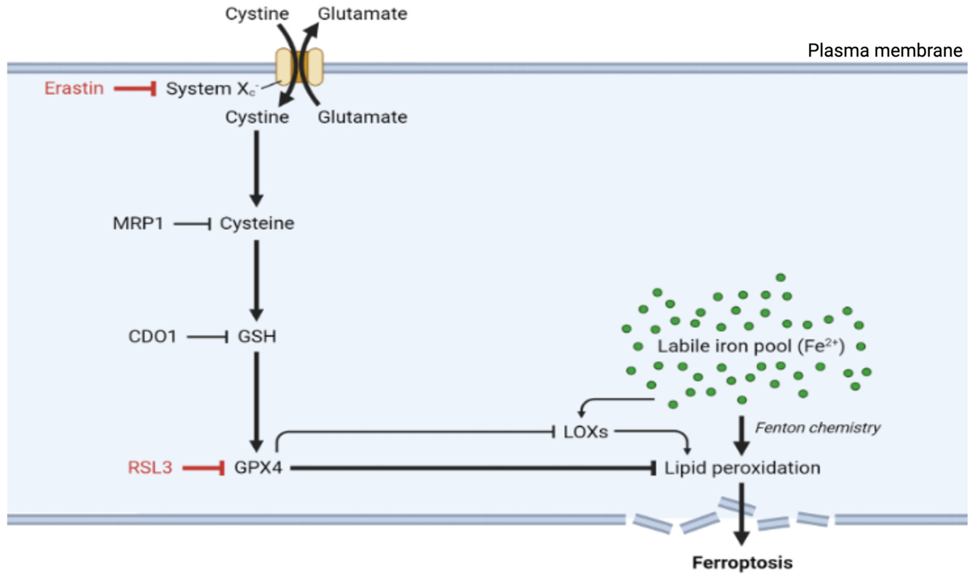 Preprints 155124 g001