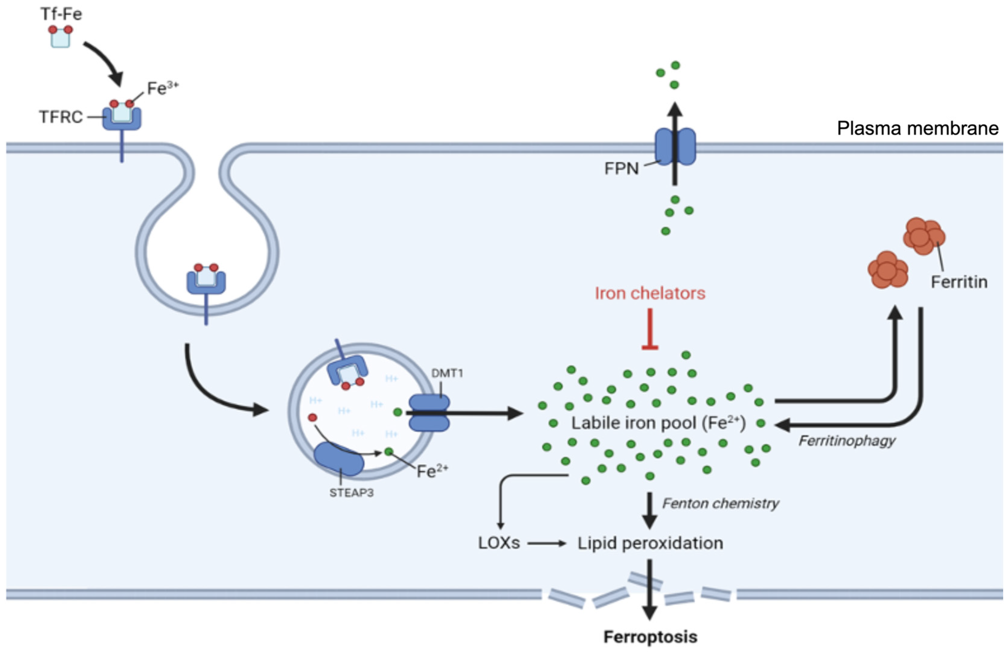 Preprints 155124 g003