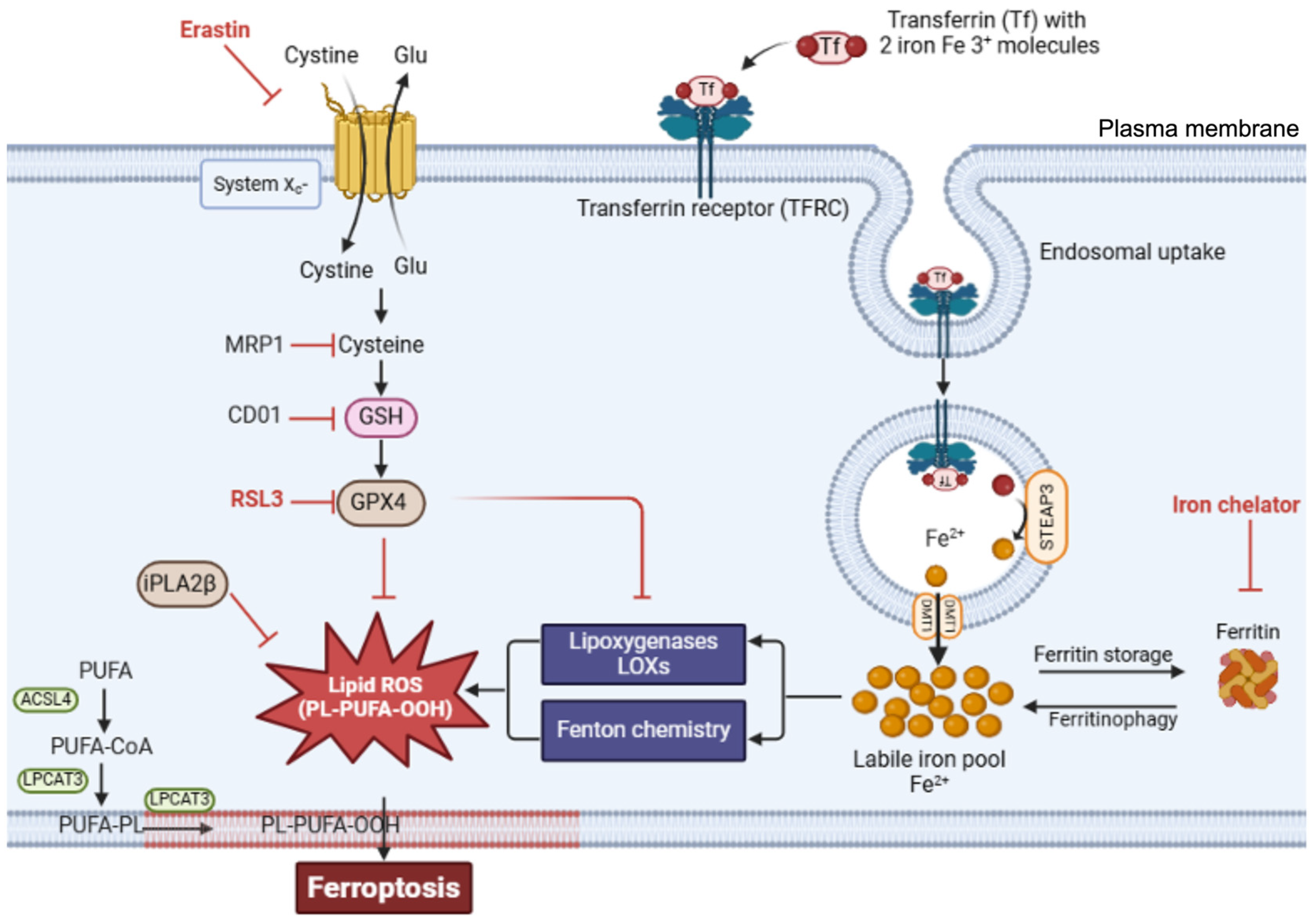 Preprints 155124 g004