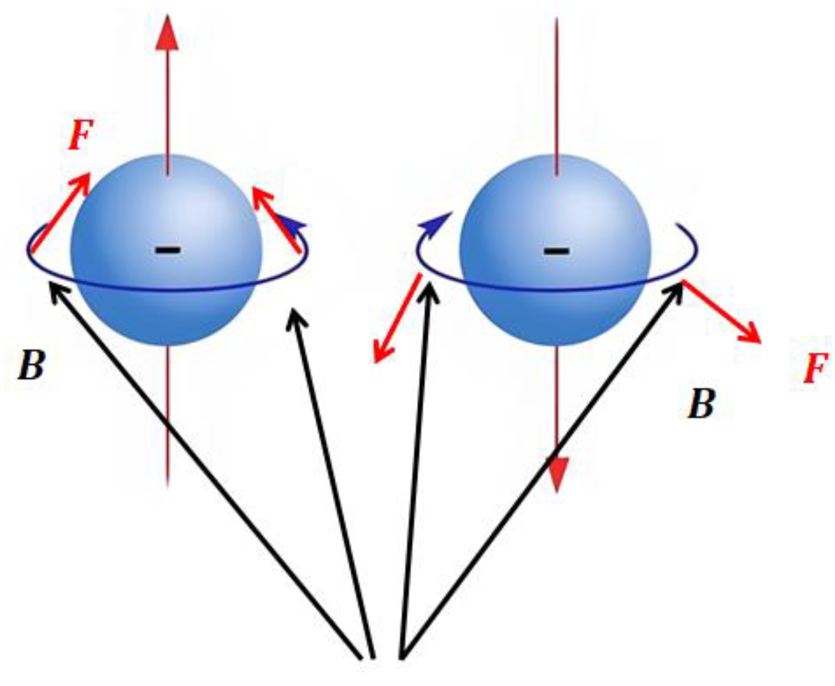 Preprints 171415 g003