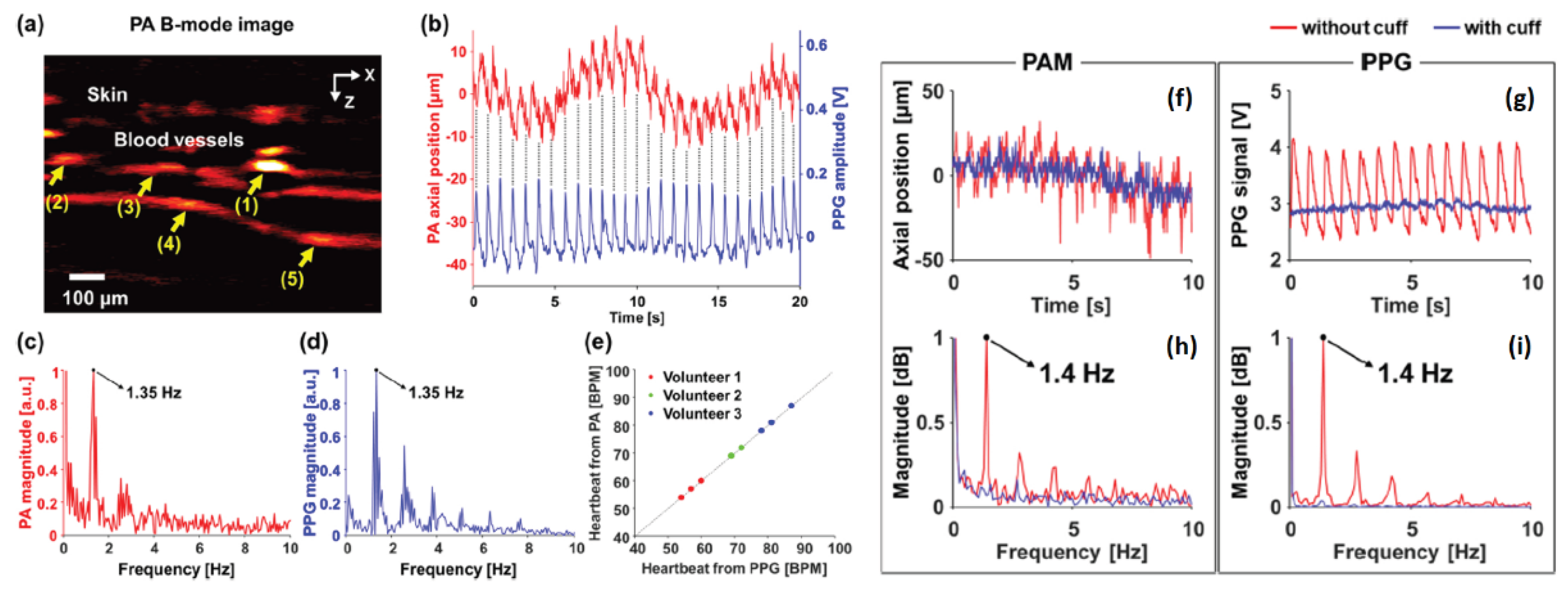 Preprints 168895 g002