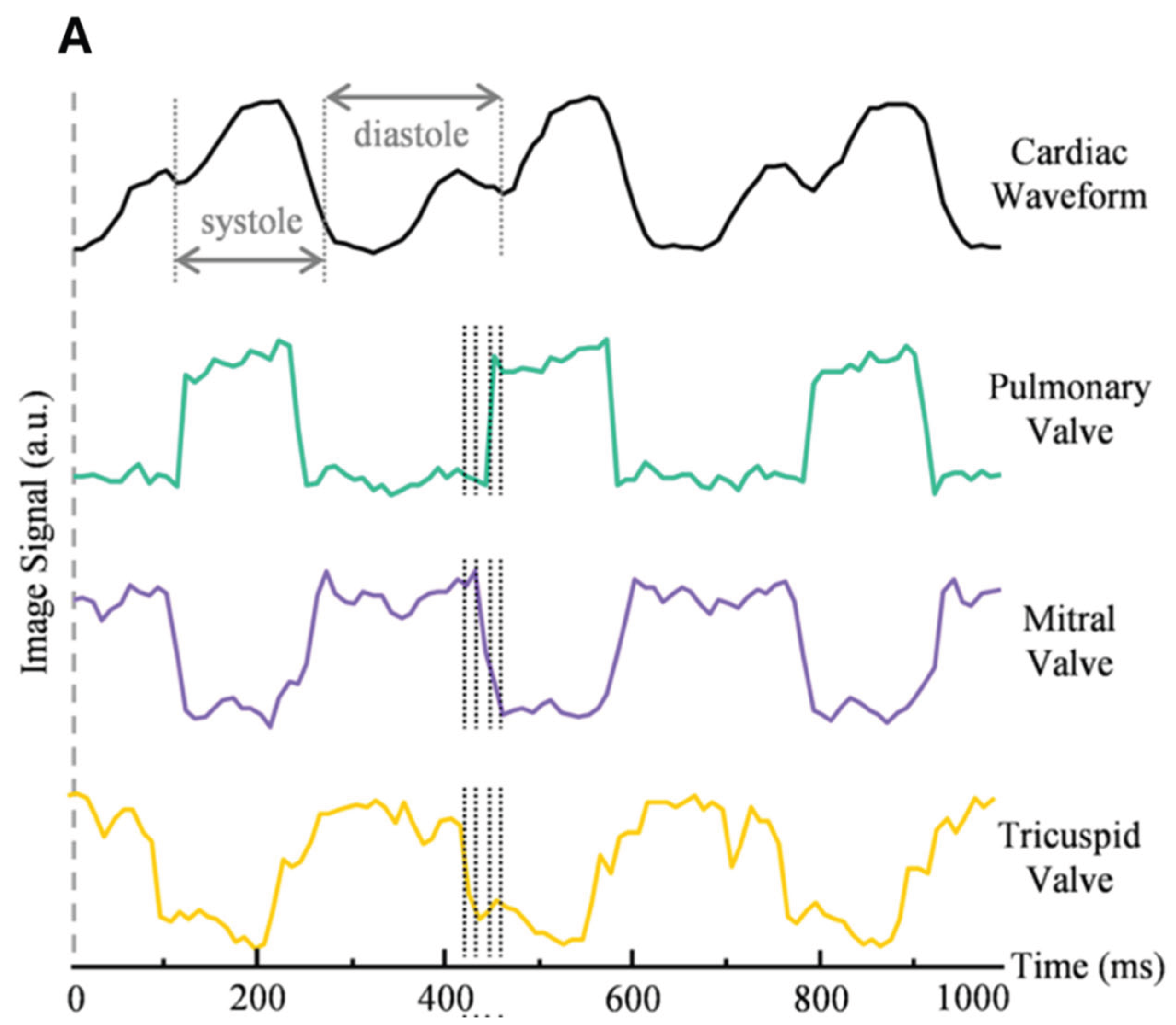 Preprints 168895 g005