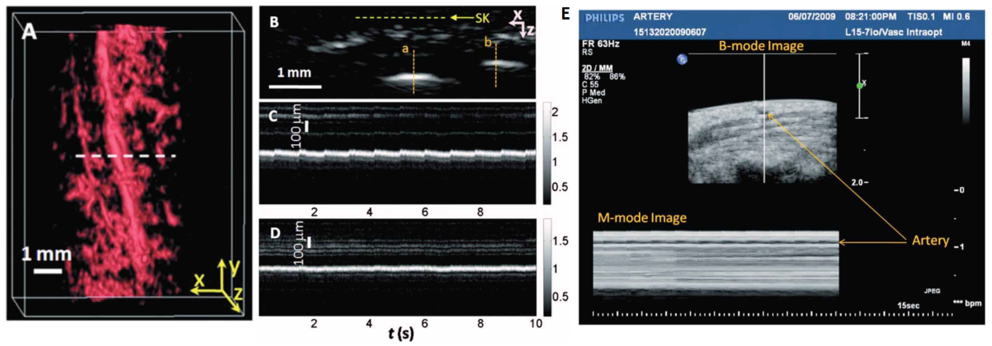 Preprints 168895 g006