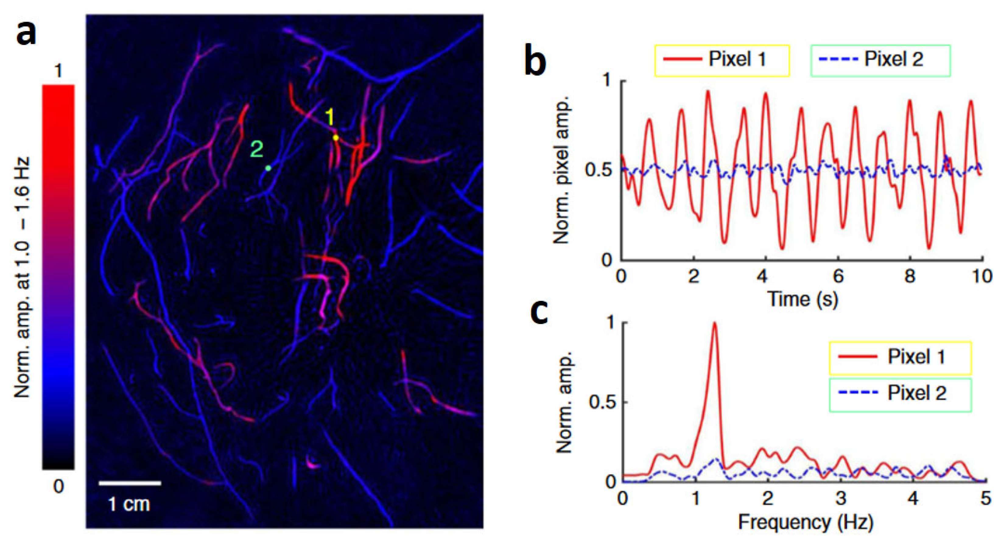 Preprints 168895 g007