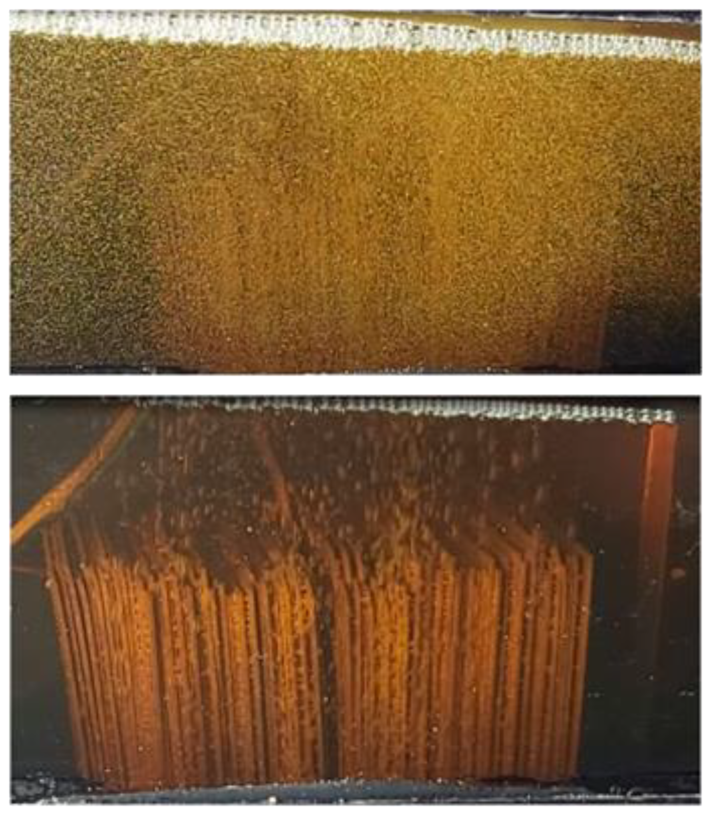 Preprints 137647 g006