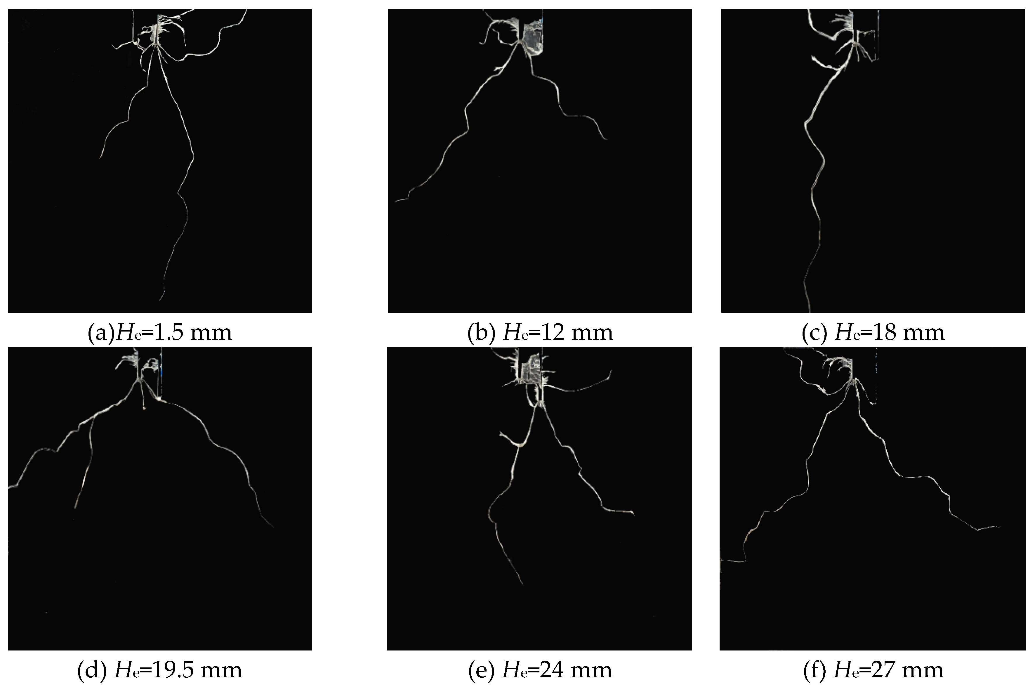 Preprints 143852 g003
