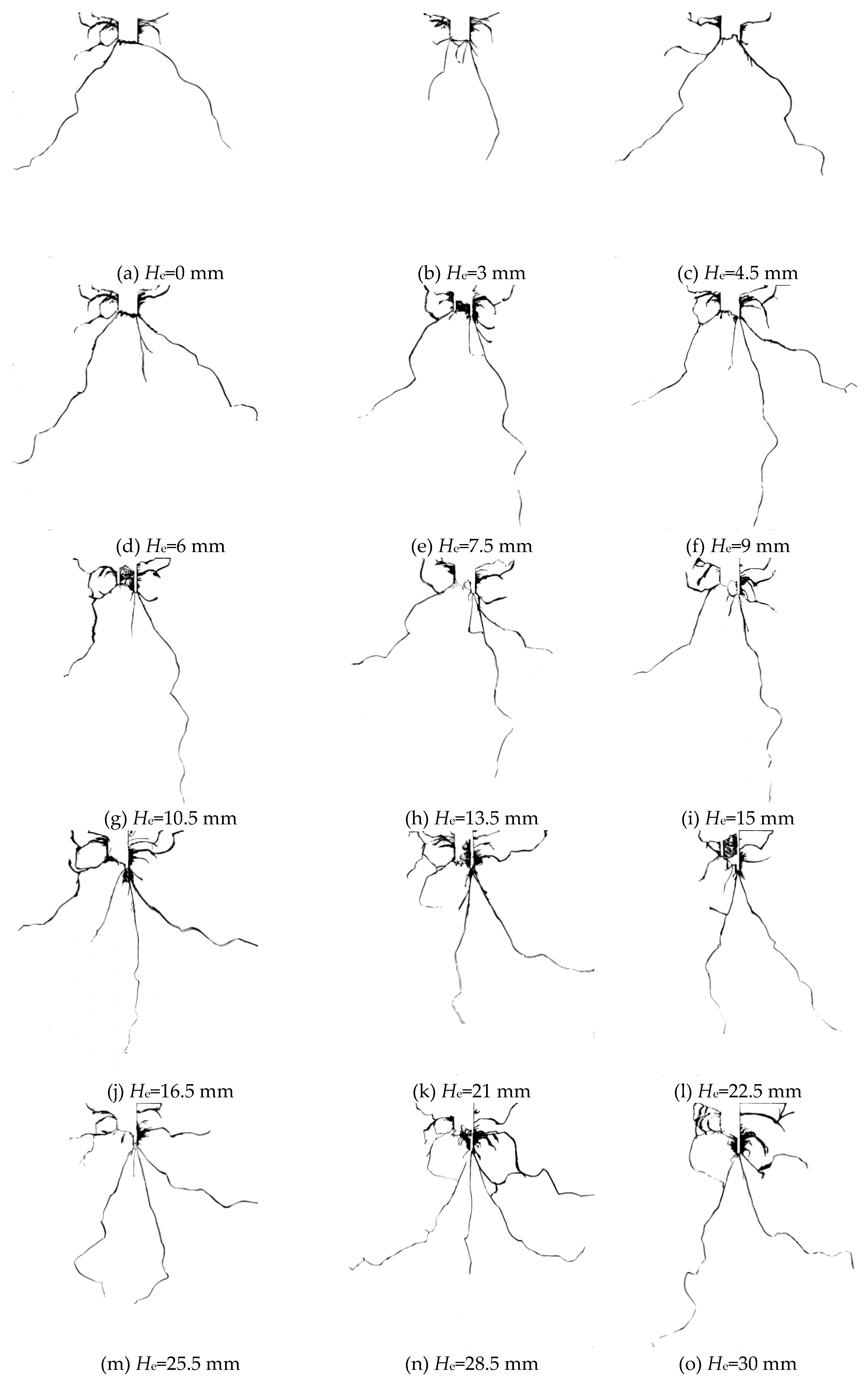 Preprints 143852 g004