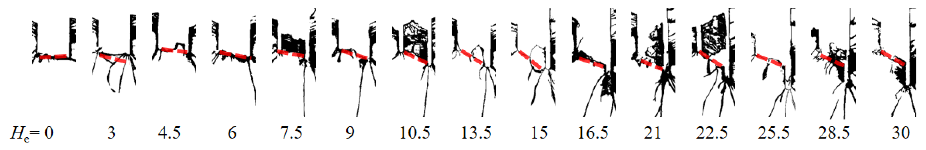 Preprints 143852 g008