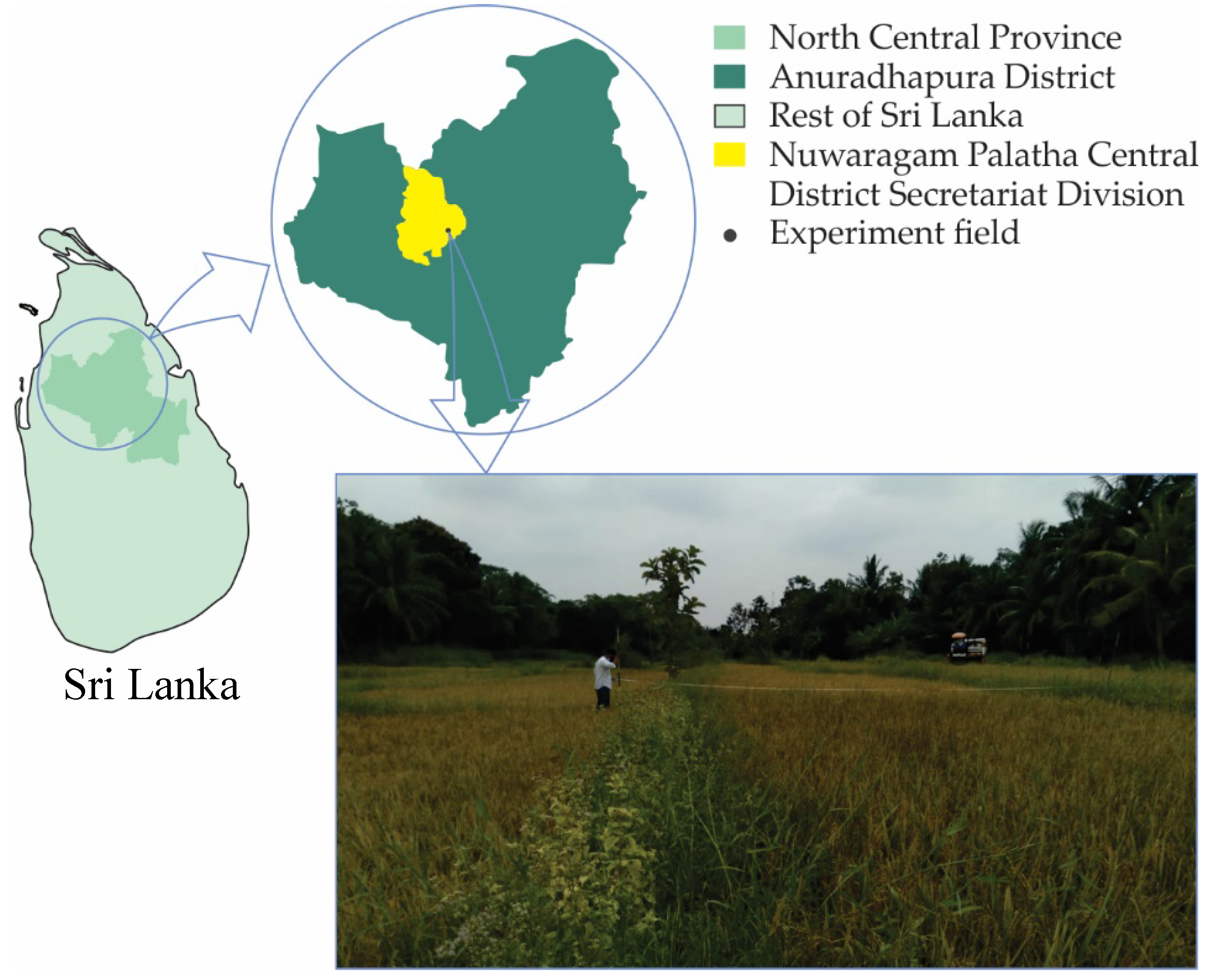 Preprints 74099 g004
