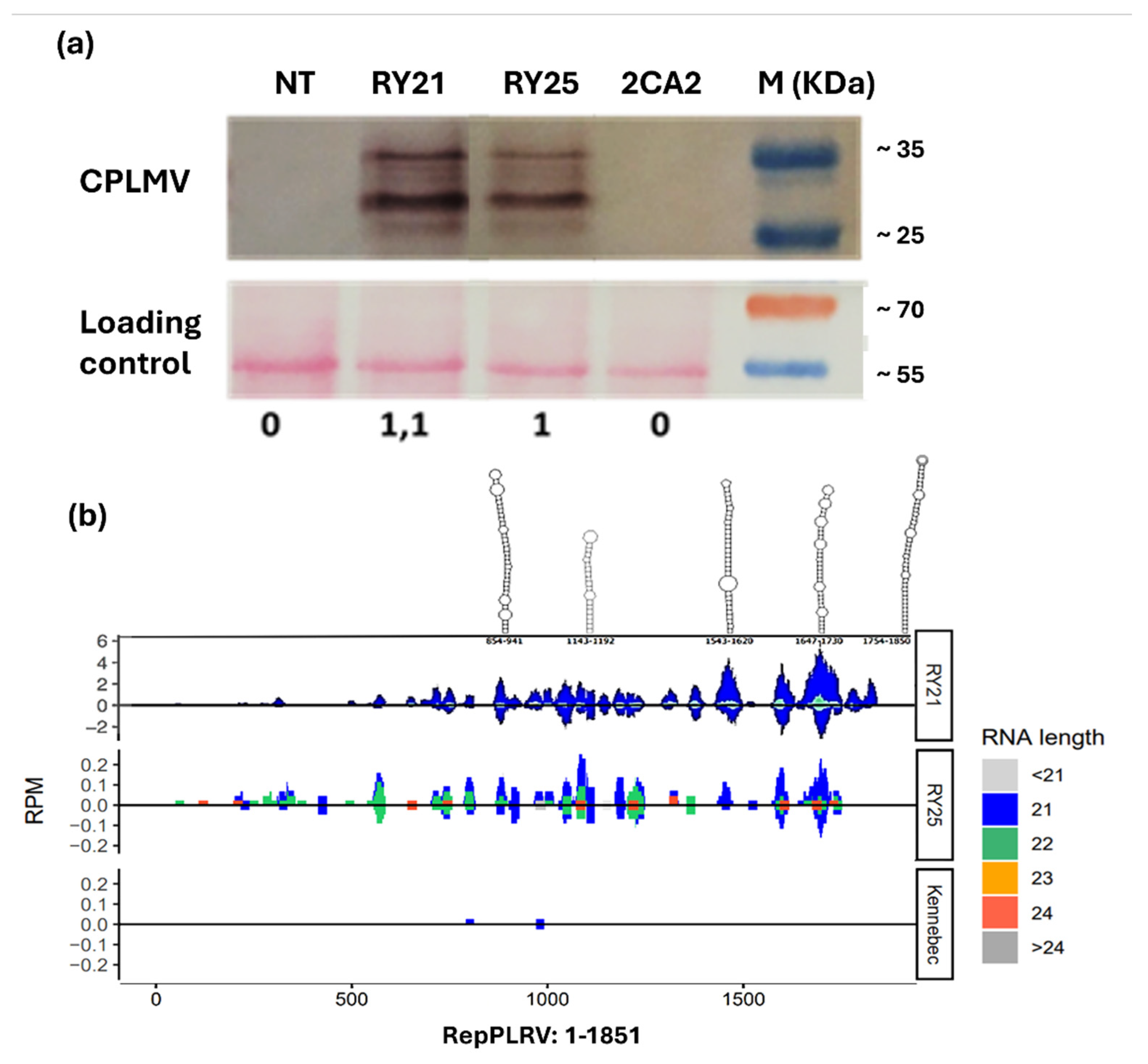 Preprints 189488 g002