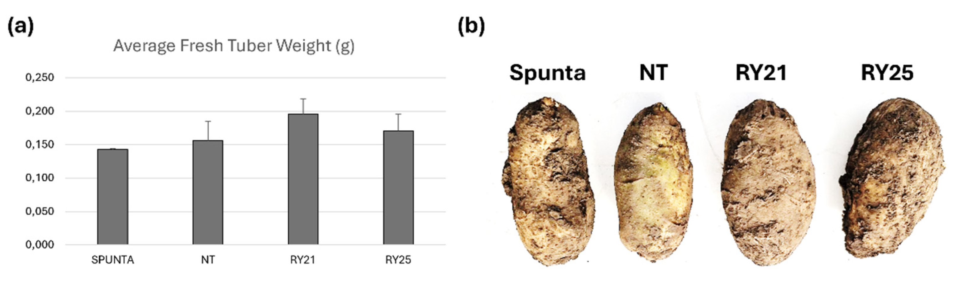 Preprints 189488 g006
