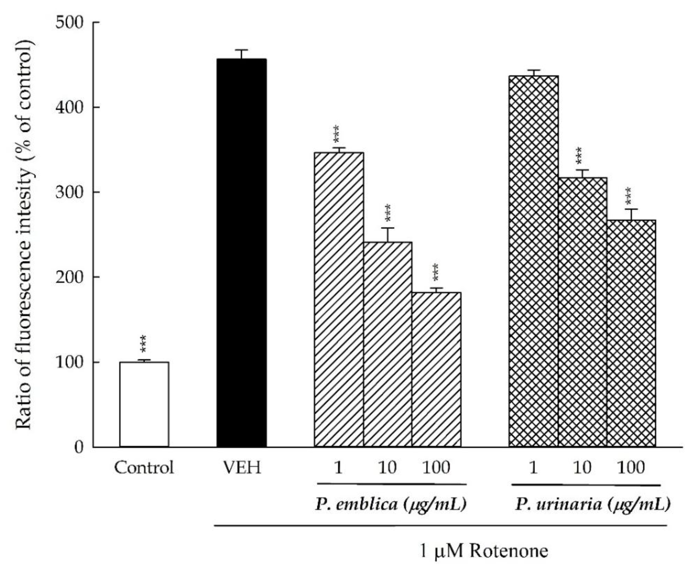 Preprints 204738 g006 Preprints 204738 g006