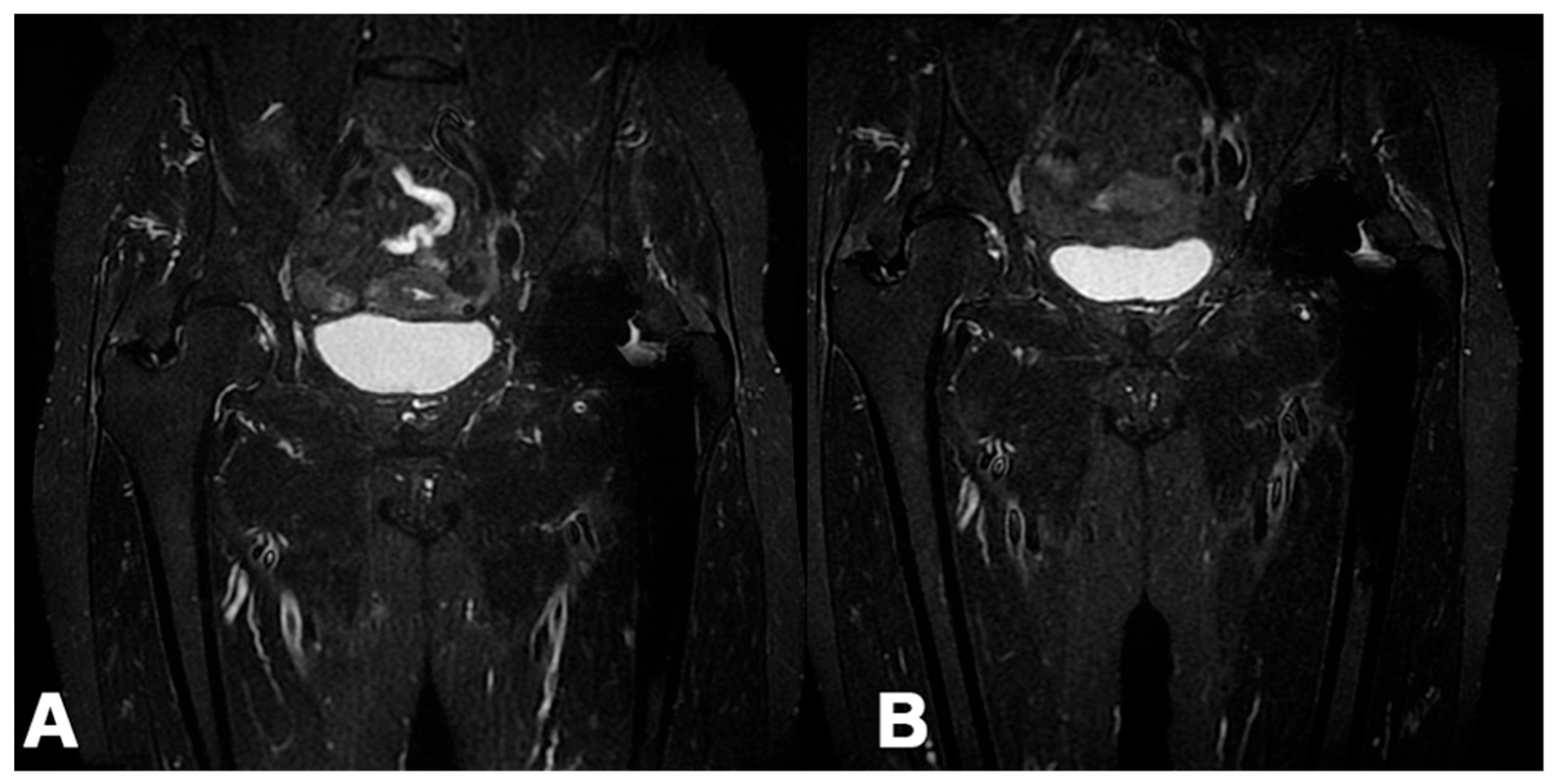 Preprints 138910 g006