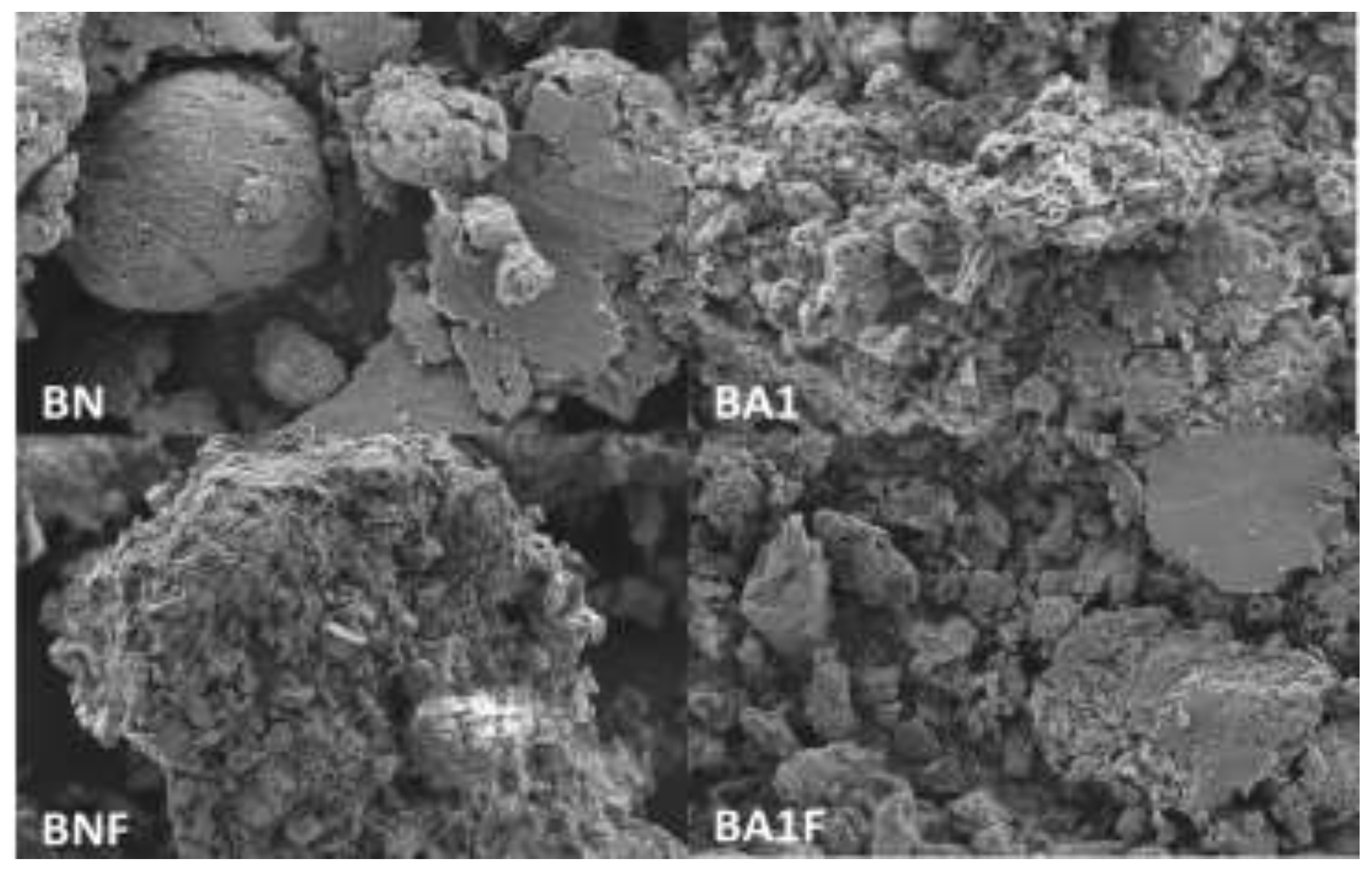 Preprints 147070 g003