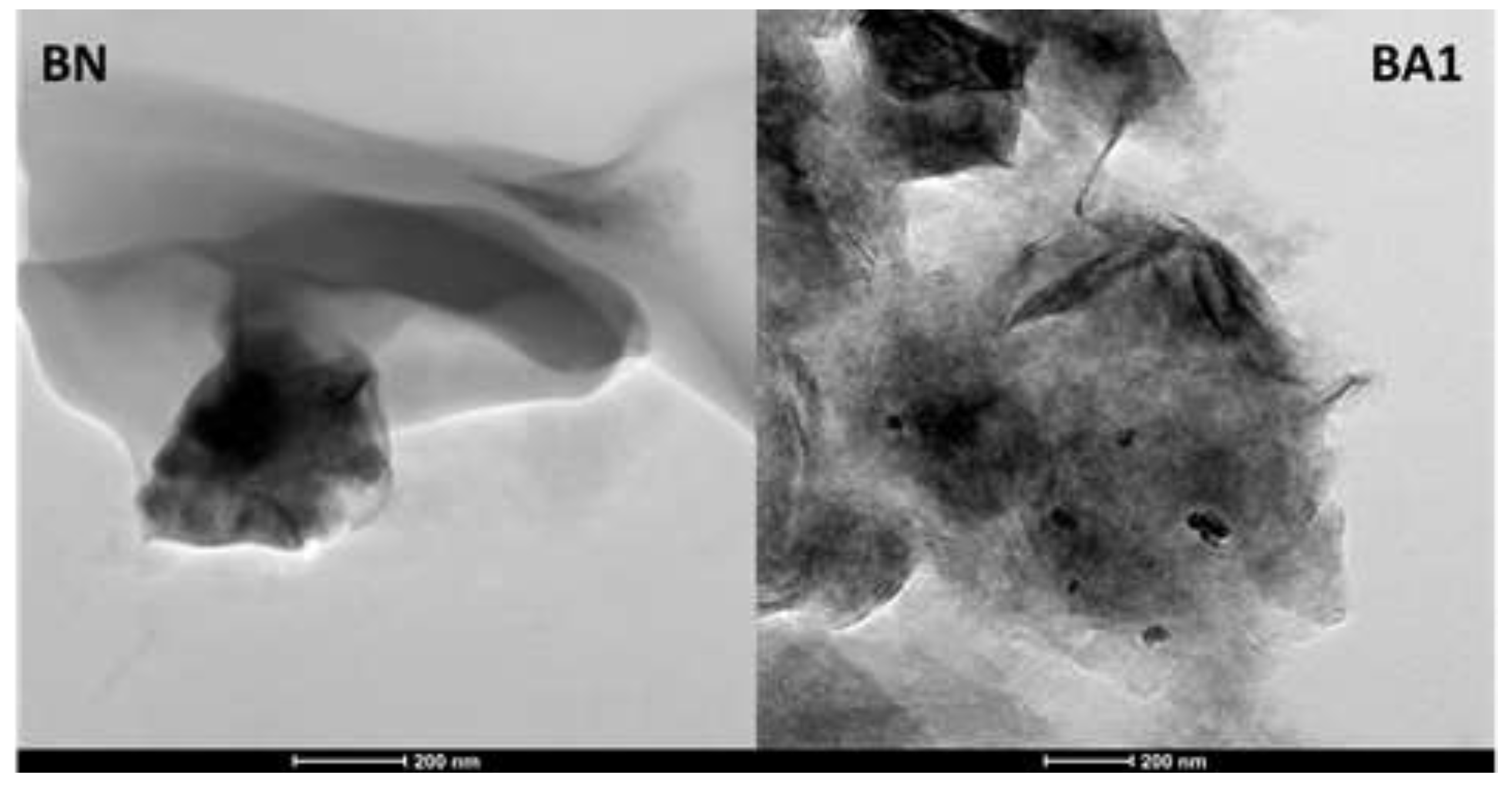 Preprints 147070 g004