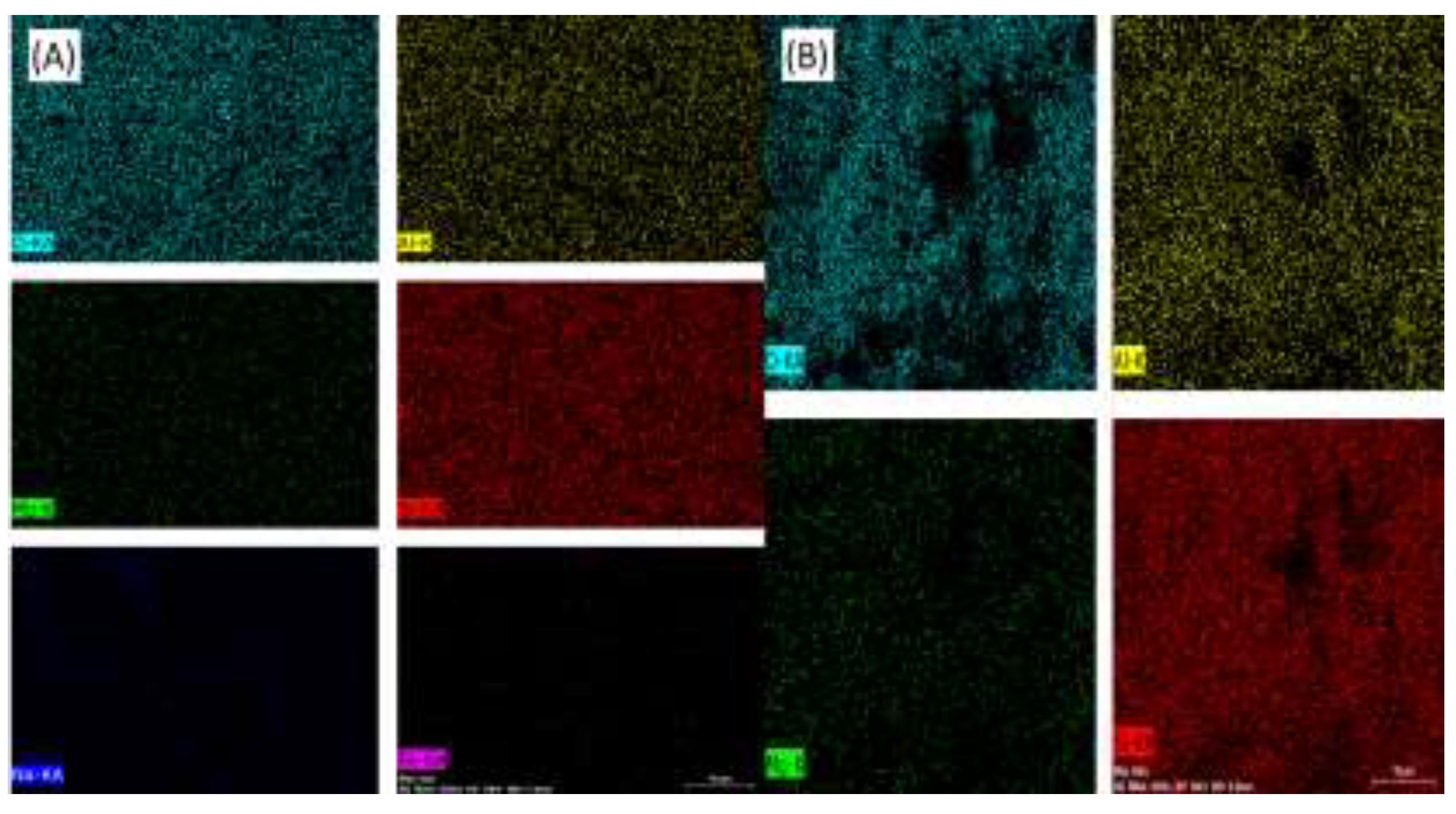 Preprints 147070 g005
