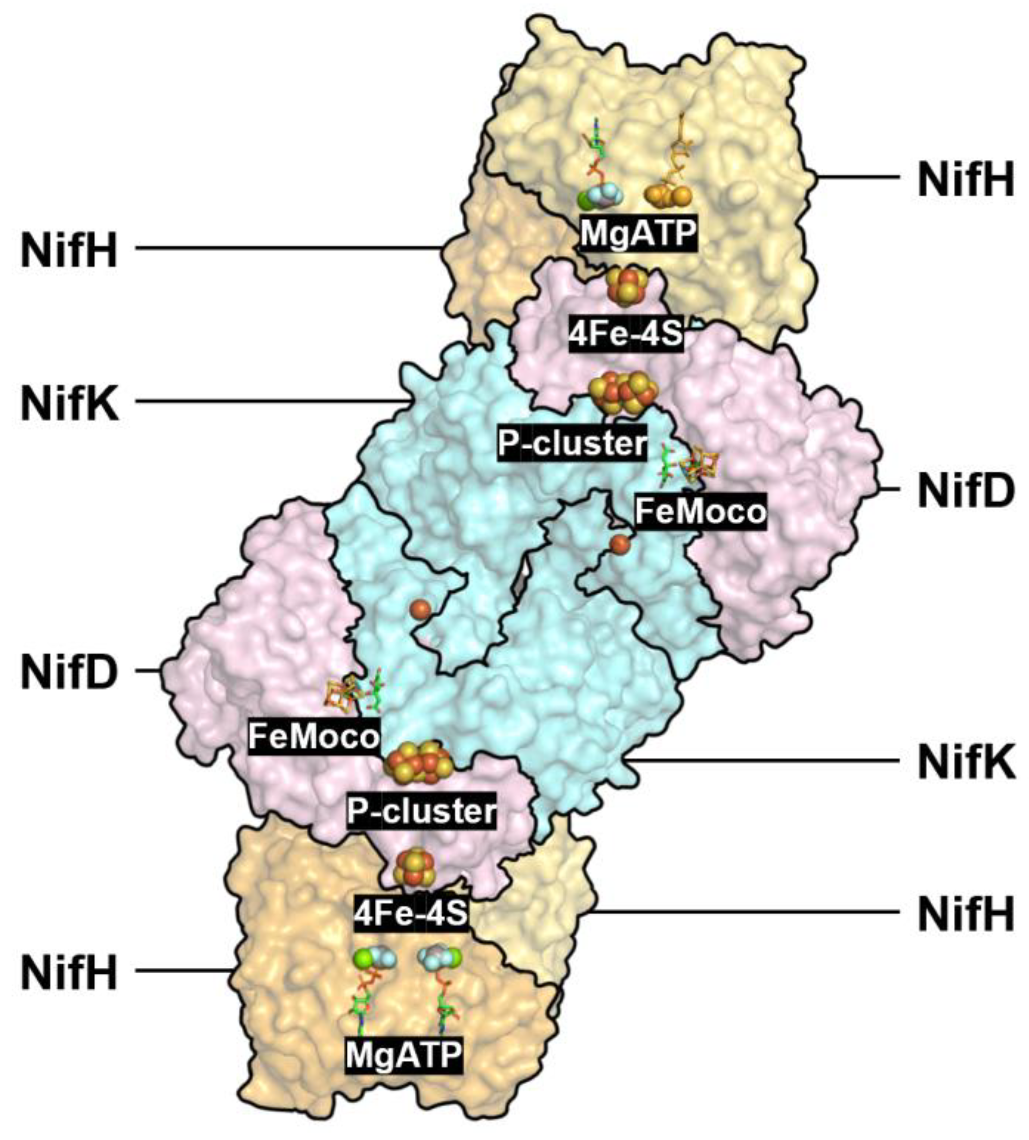 Preprints 188660 g001