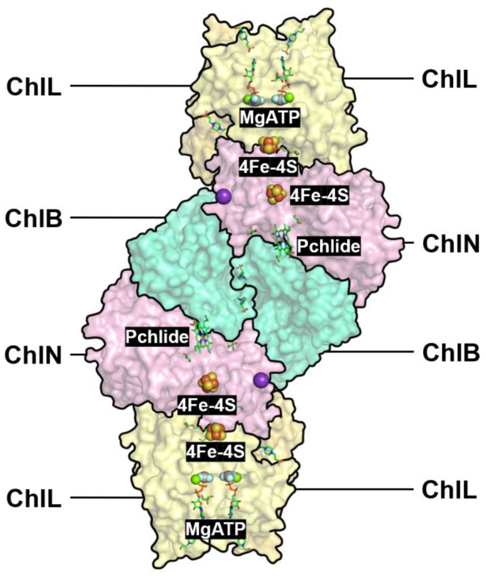 Preprints 188660 g002