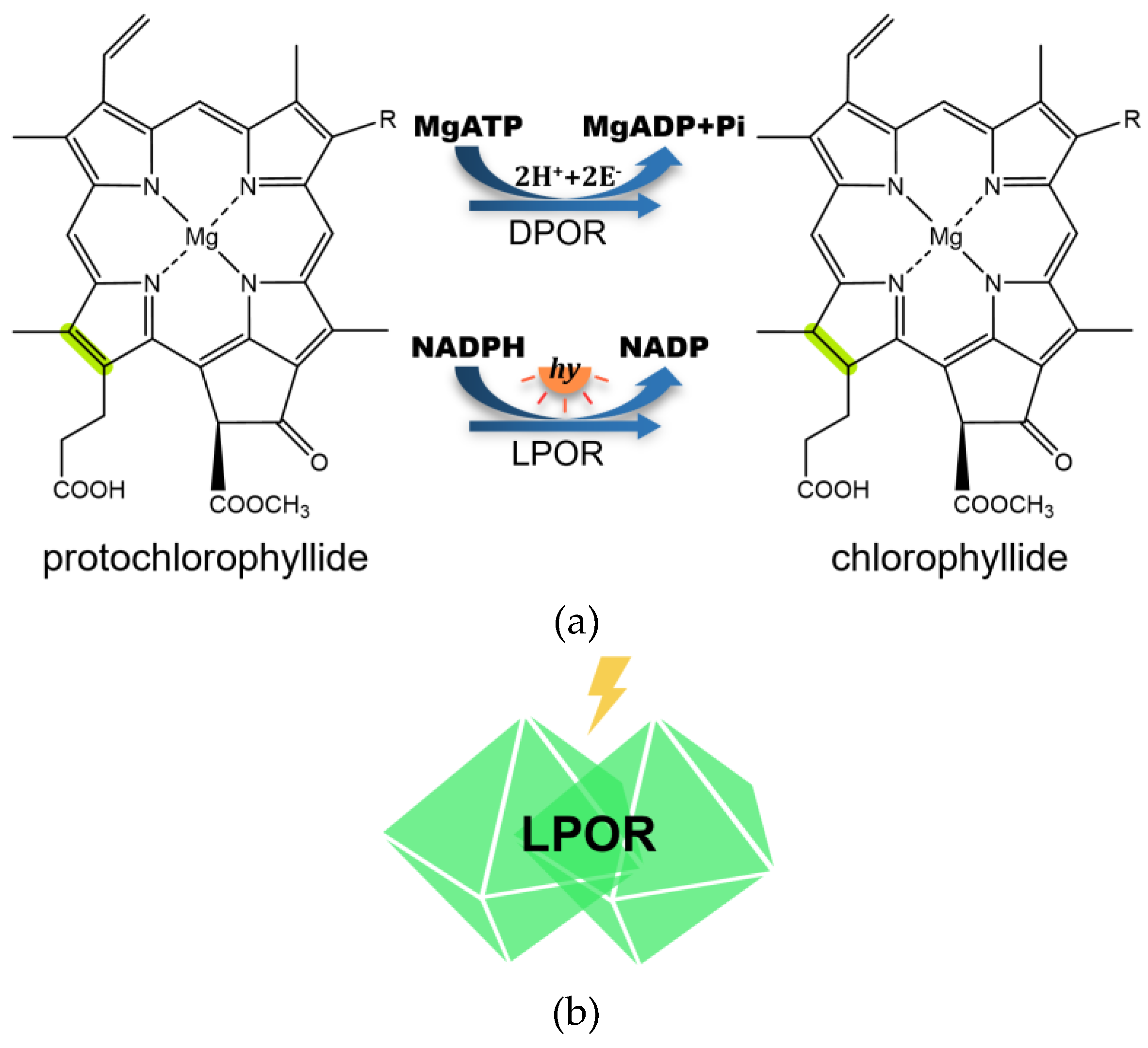 Preprints 188660 g003