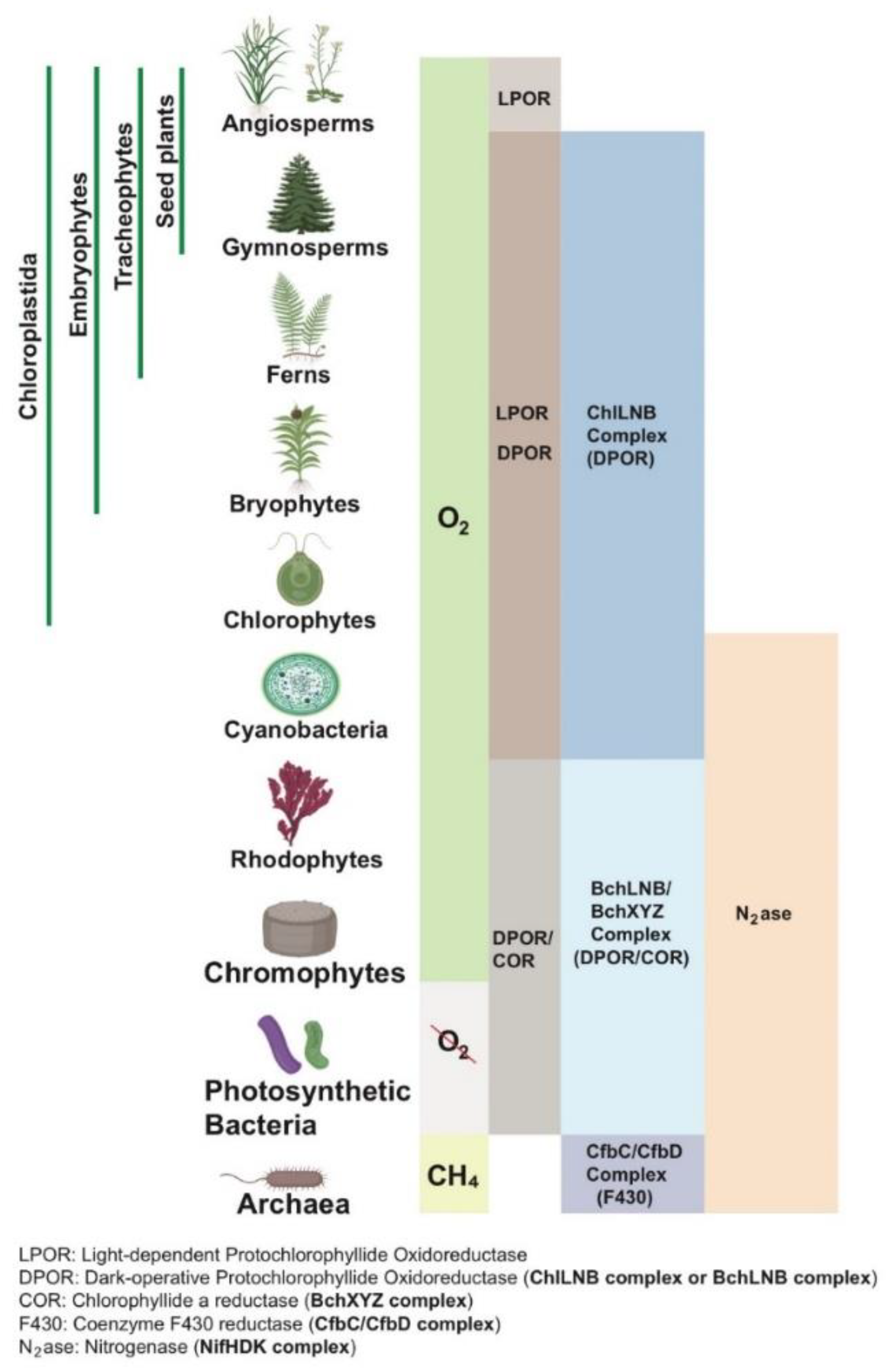 Preprints 188660 g004