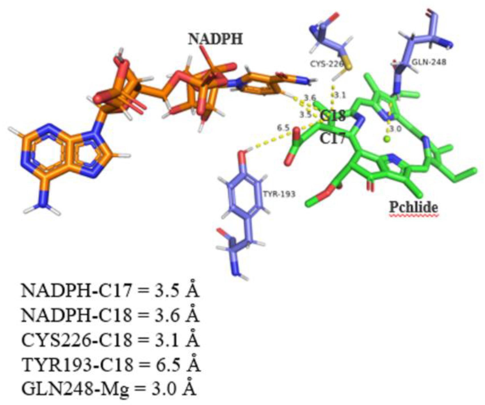 Preprints 188660 g005