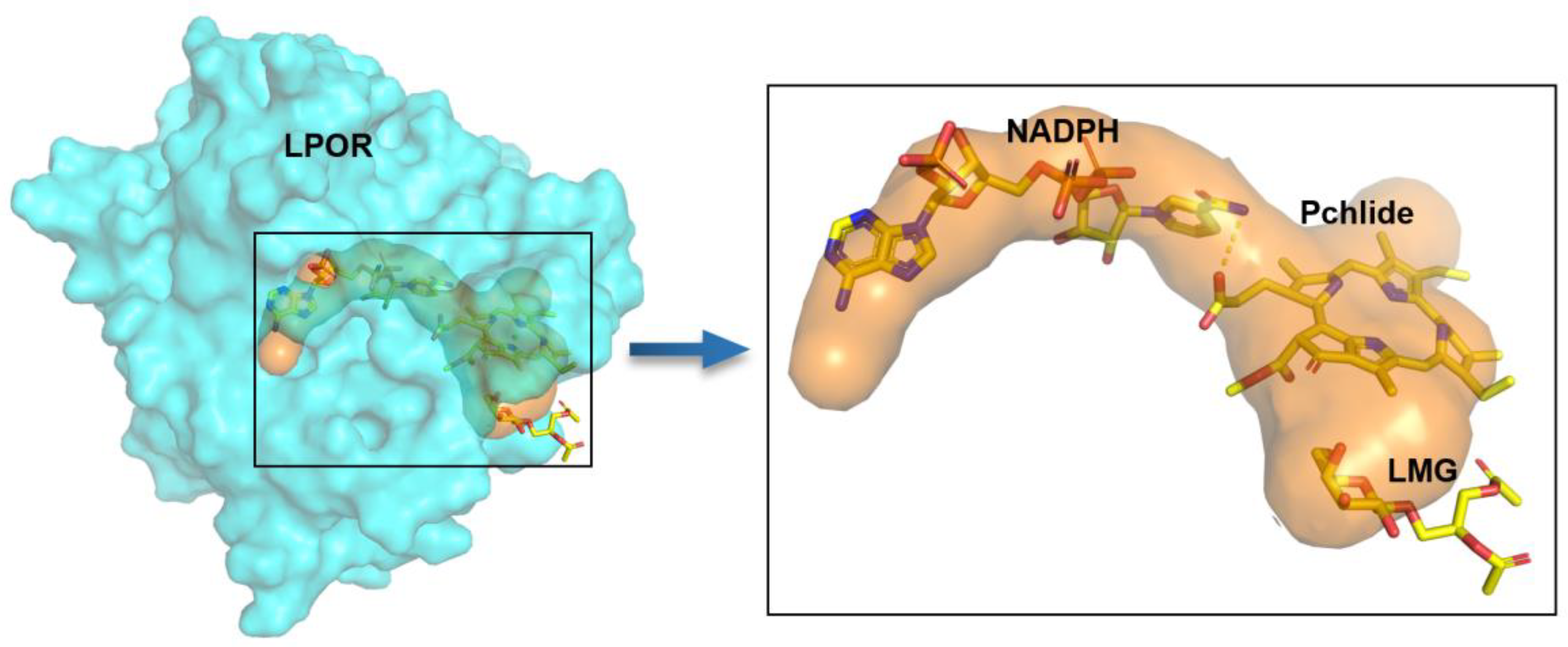 Preprints 188660 g006