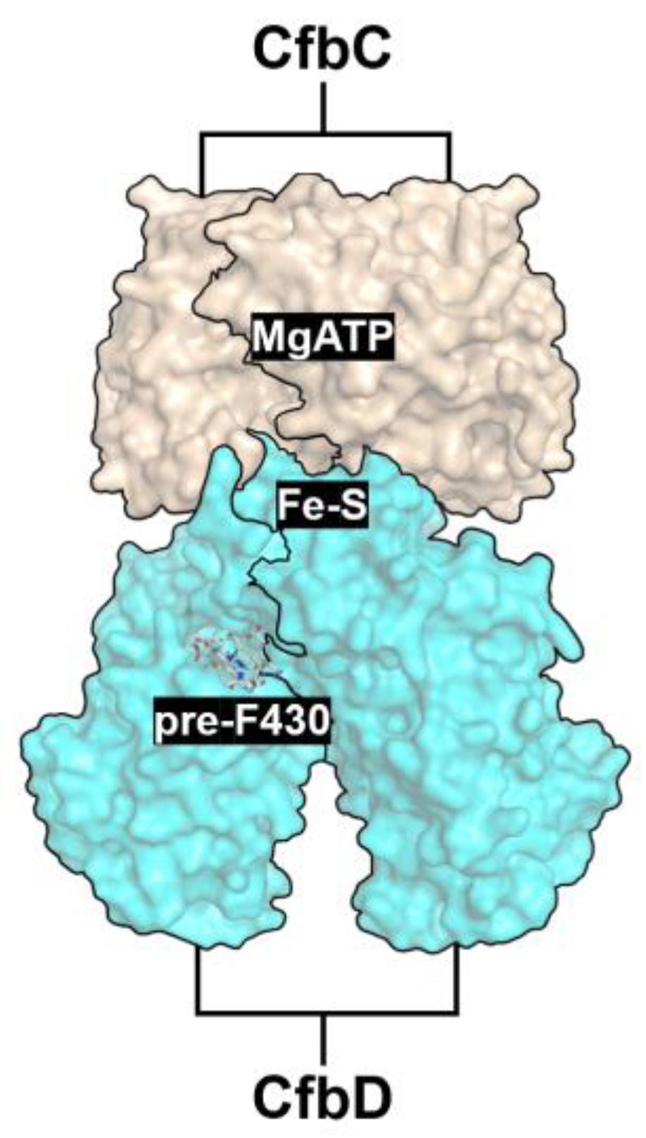 Preprints 188660 g007