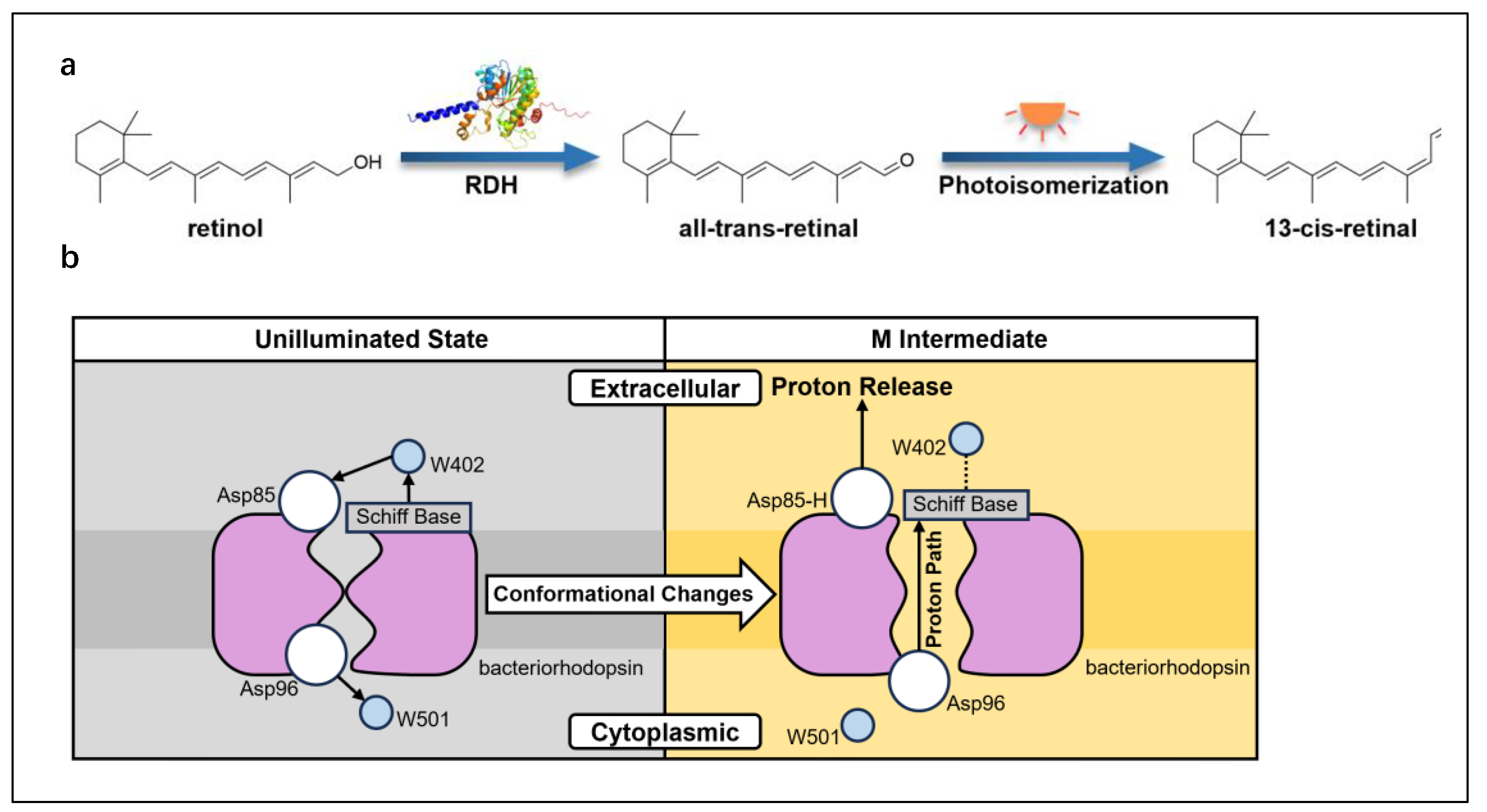 Preprints 188660 g010