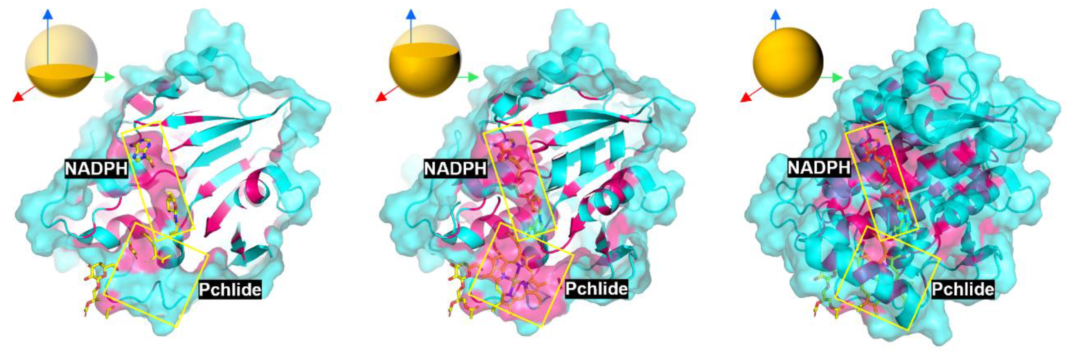 Preprints 188660 g011
