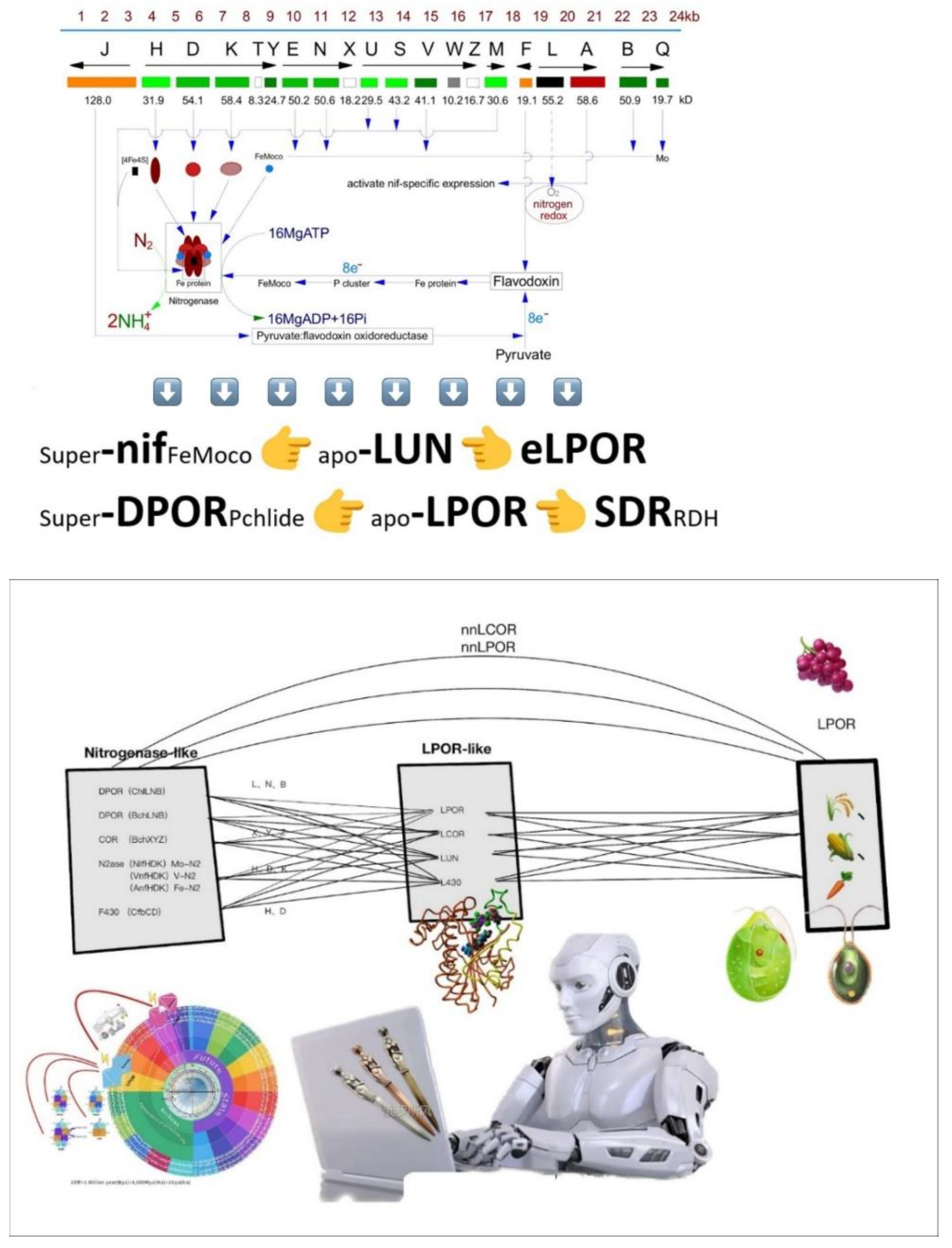 Preprints 188660 g014