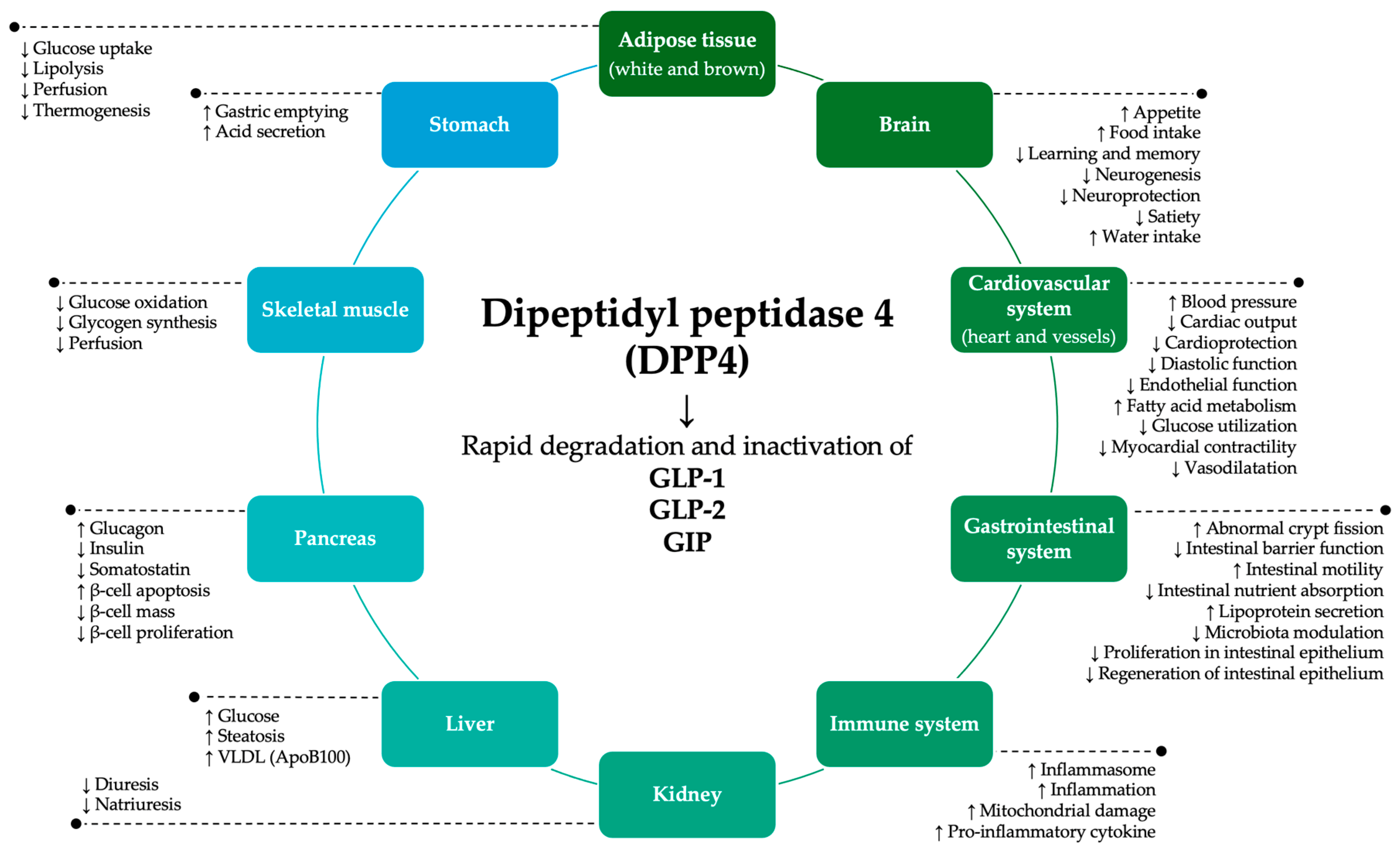 Preprints 121105 g001