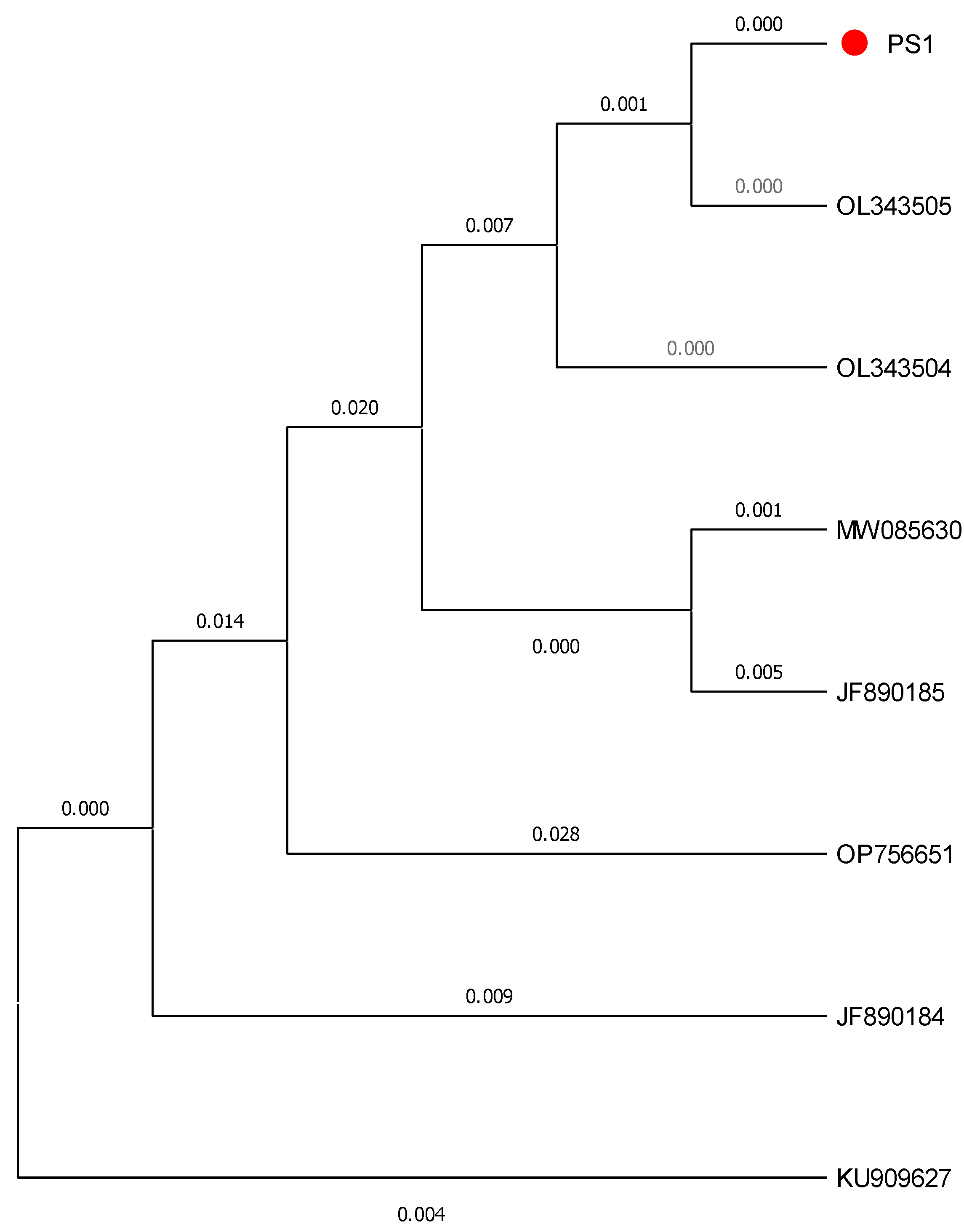 Preprints 148576 g002
