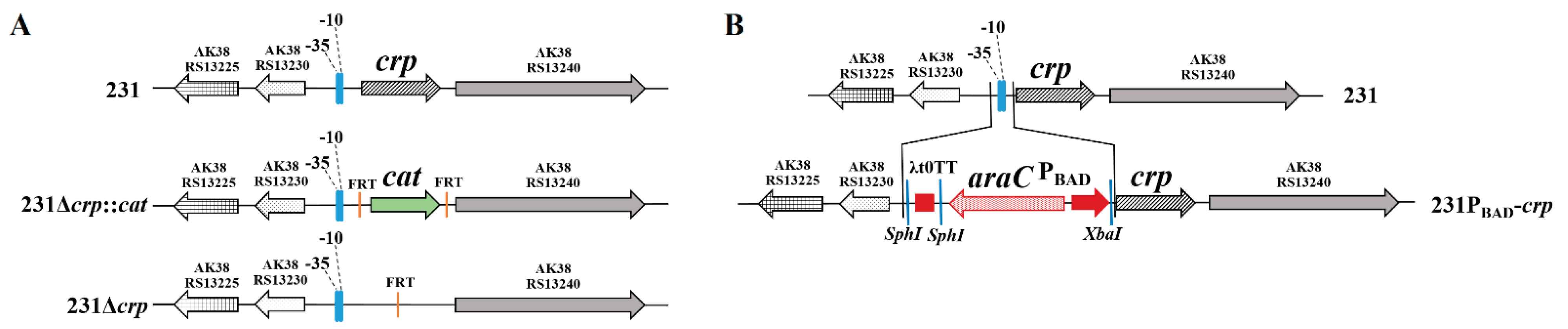 Preprints 188702 g001