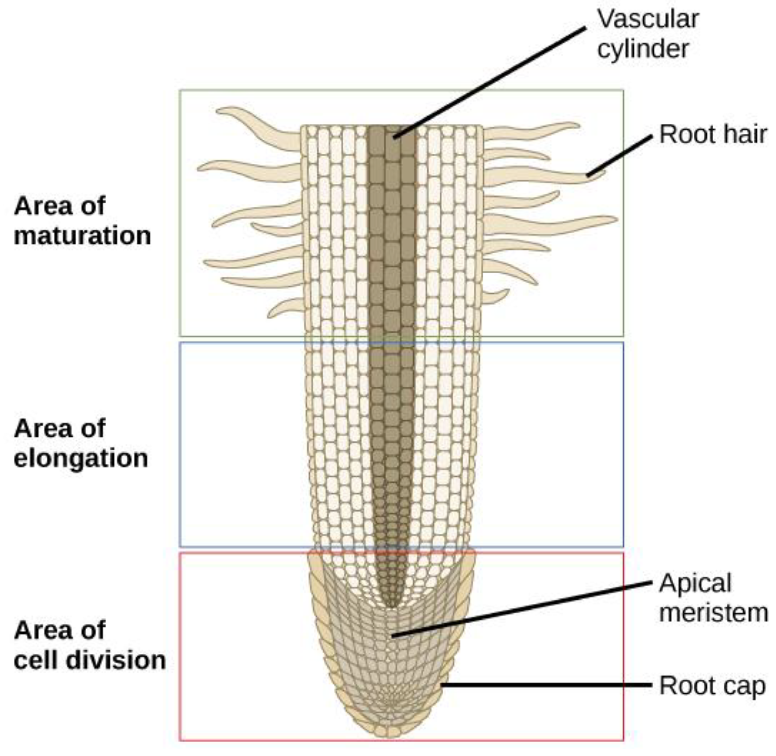 Preprints 179850 g003
