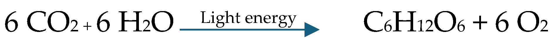 Preprints 179850 i002