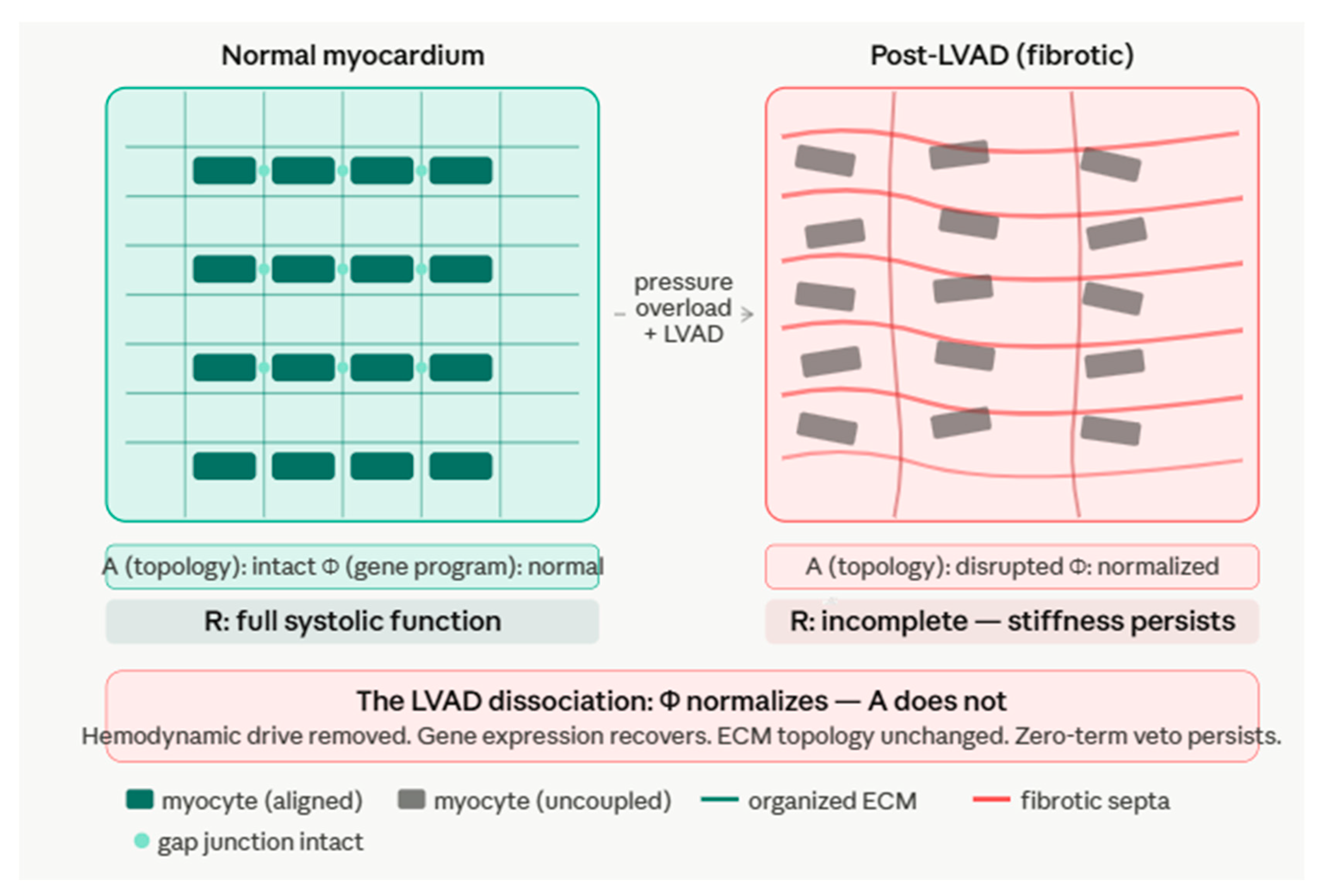 Preprints 207902 g002