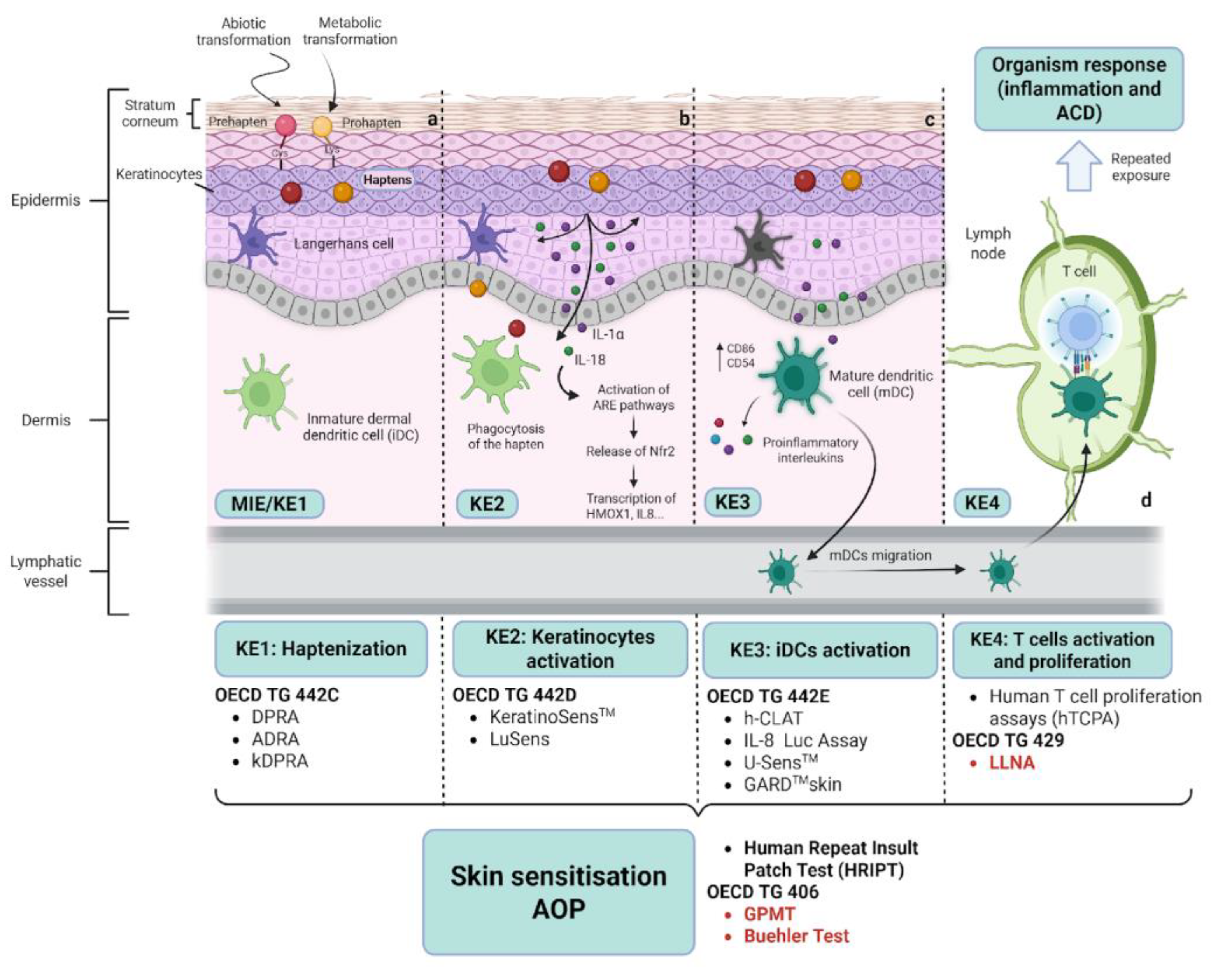 Preprints 168346 g001