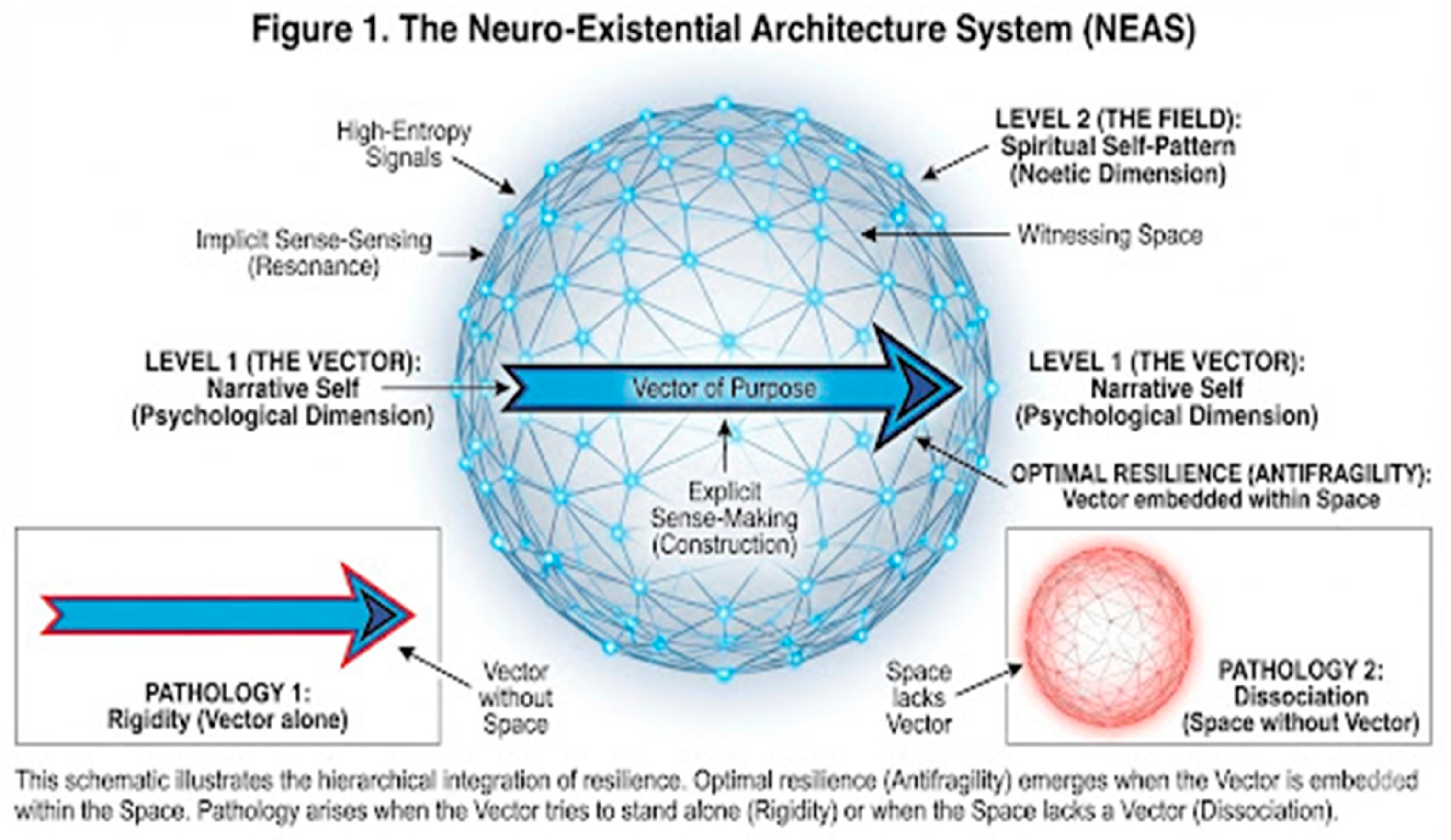 Preprints 188999 g001