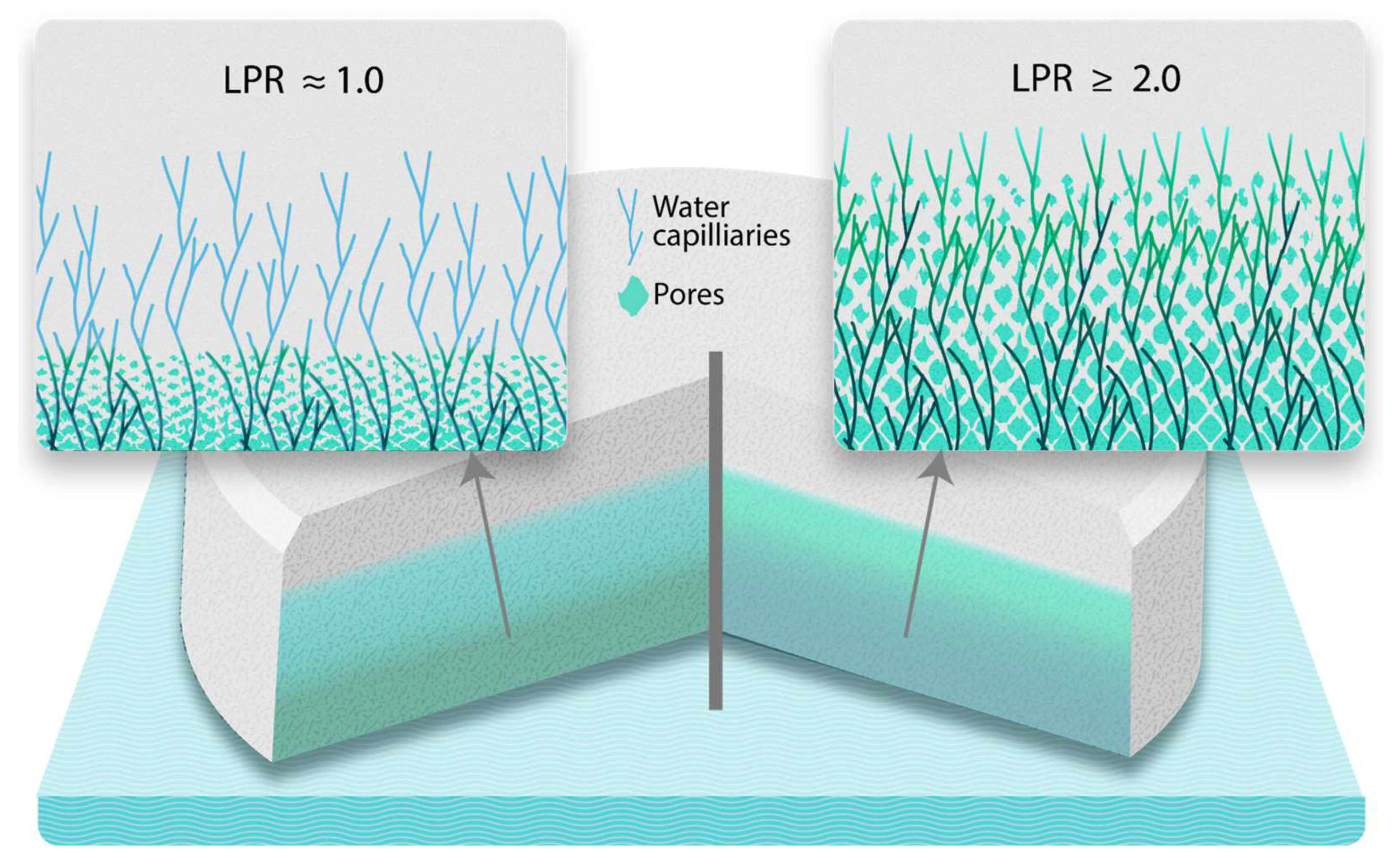 Preprints 153560 g005