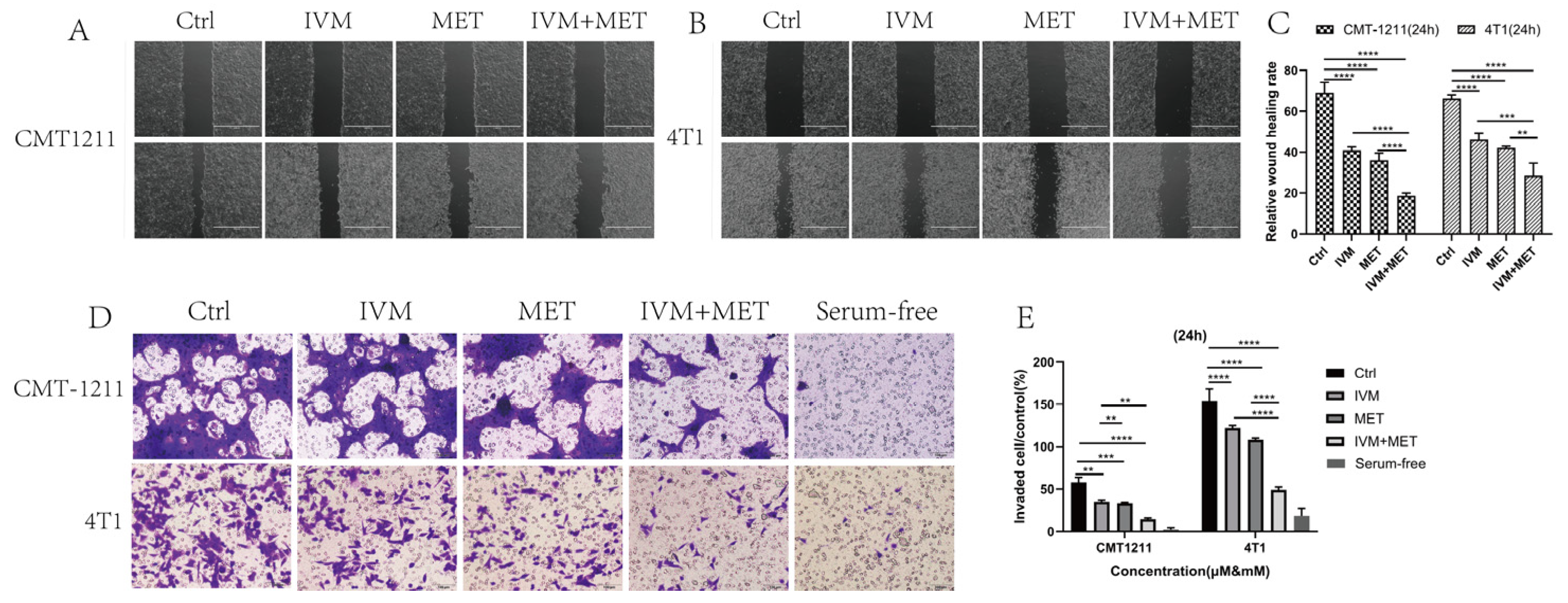 Preprints 156049 g002