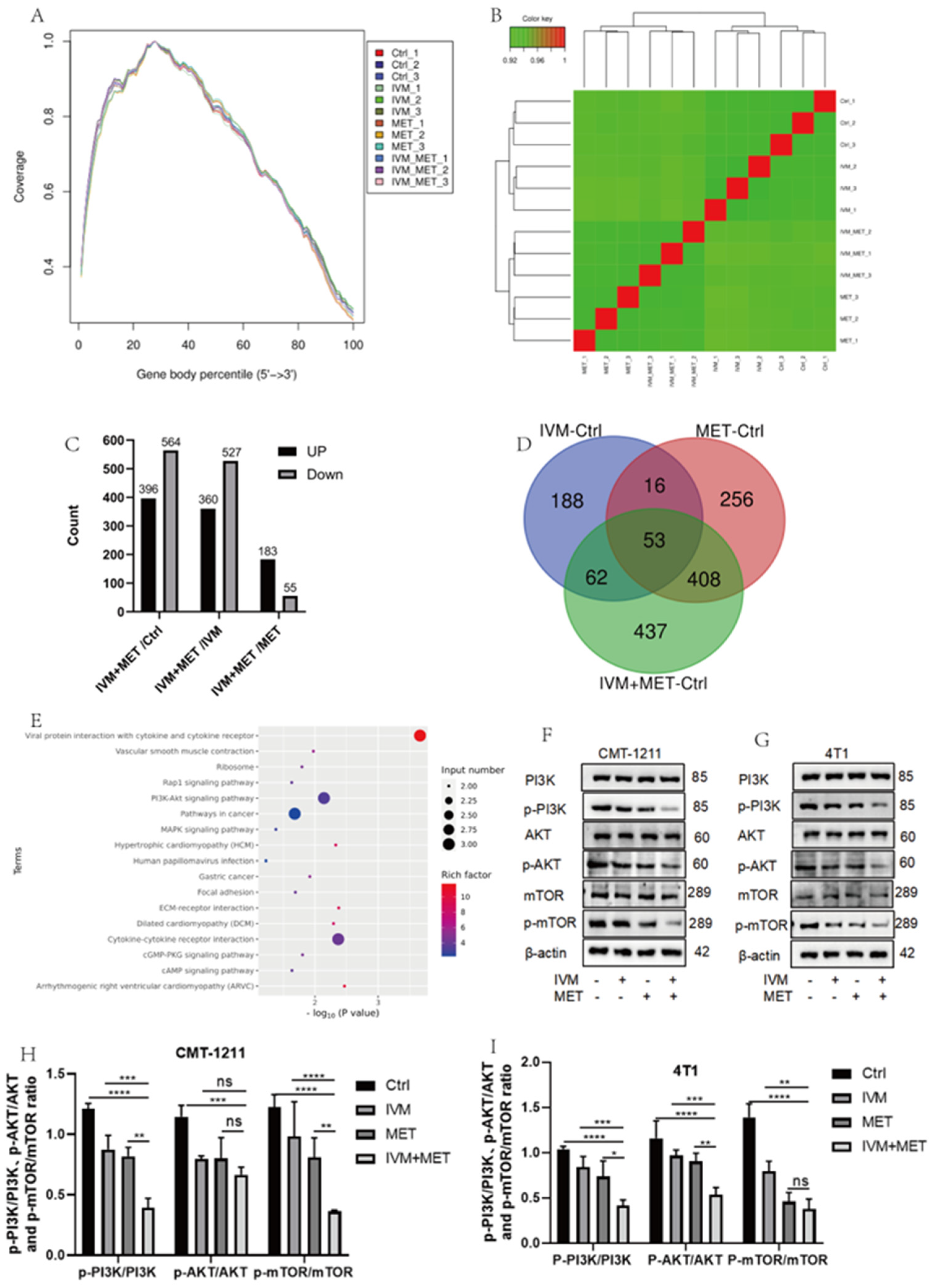 Preprints 156049 g003
