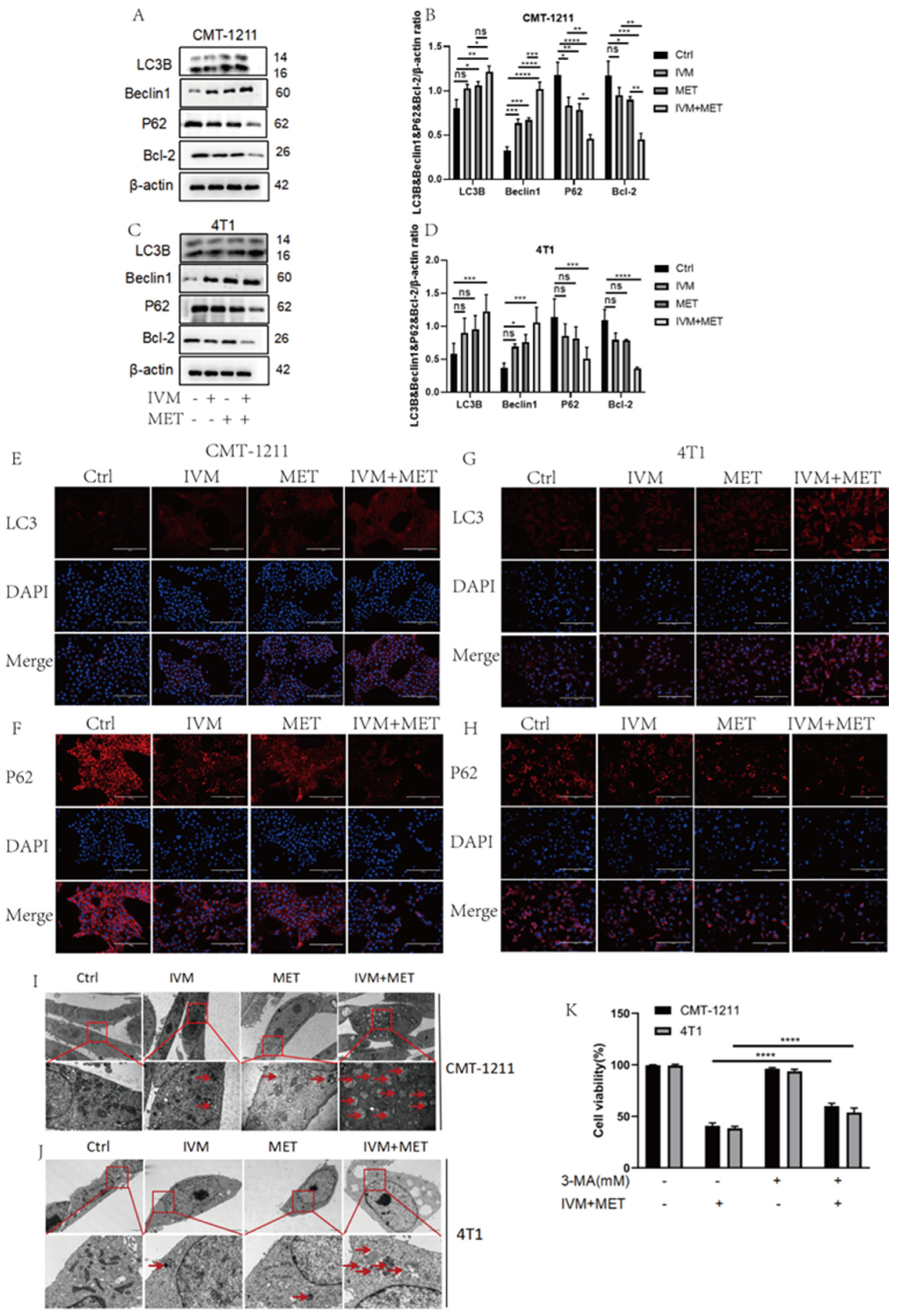 Preprints 156049 g004