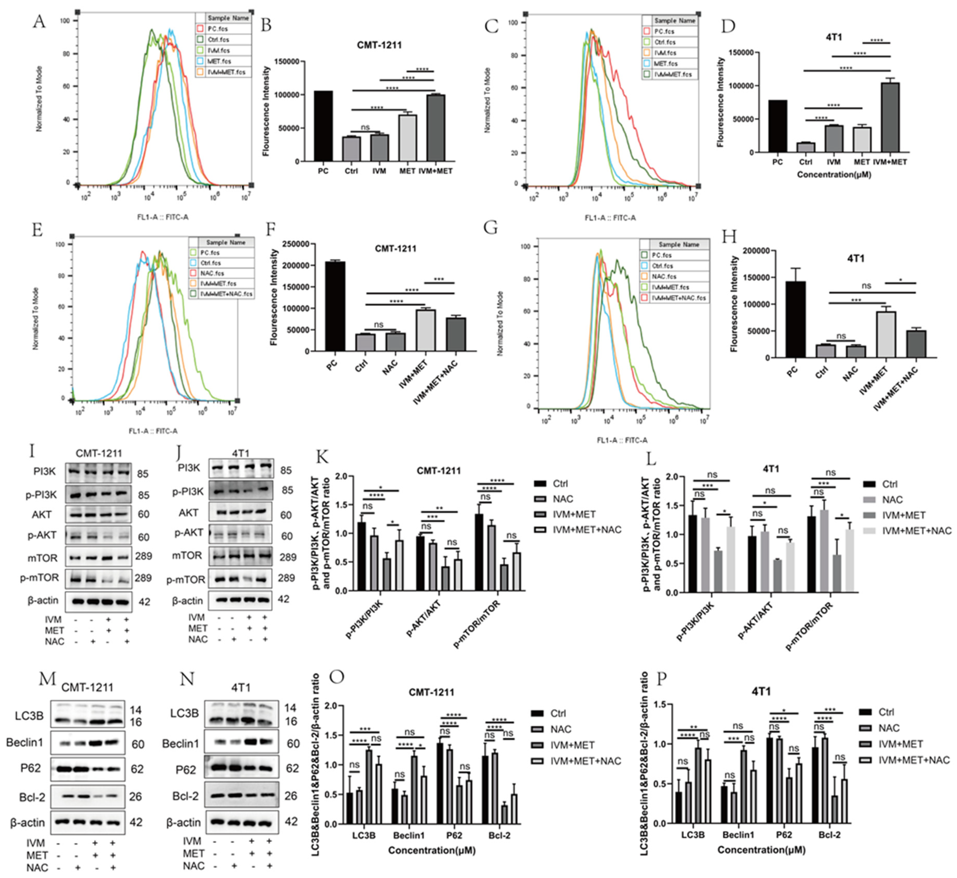 Preprints 156049 g005