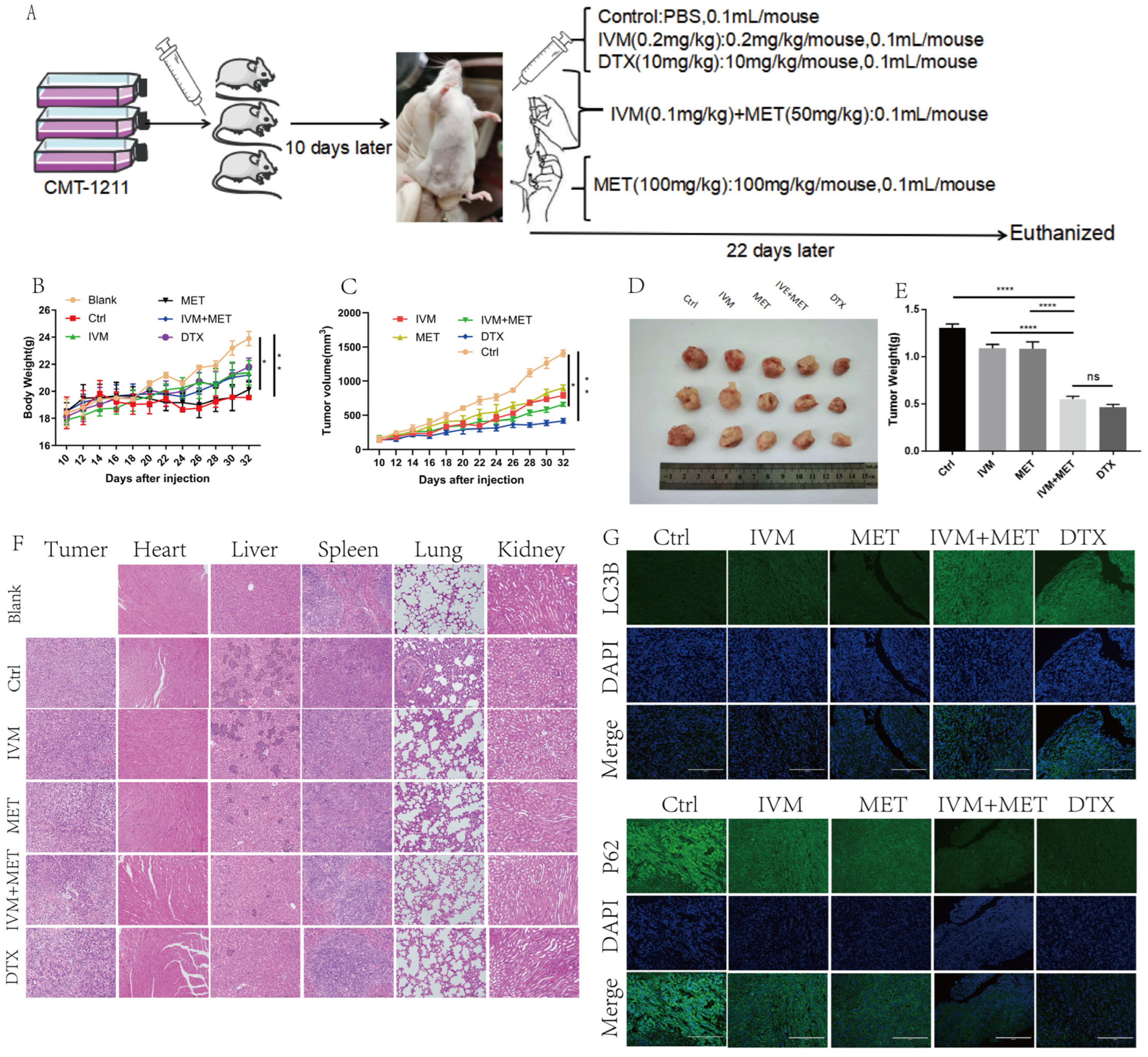 Preprints 156049 g006